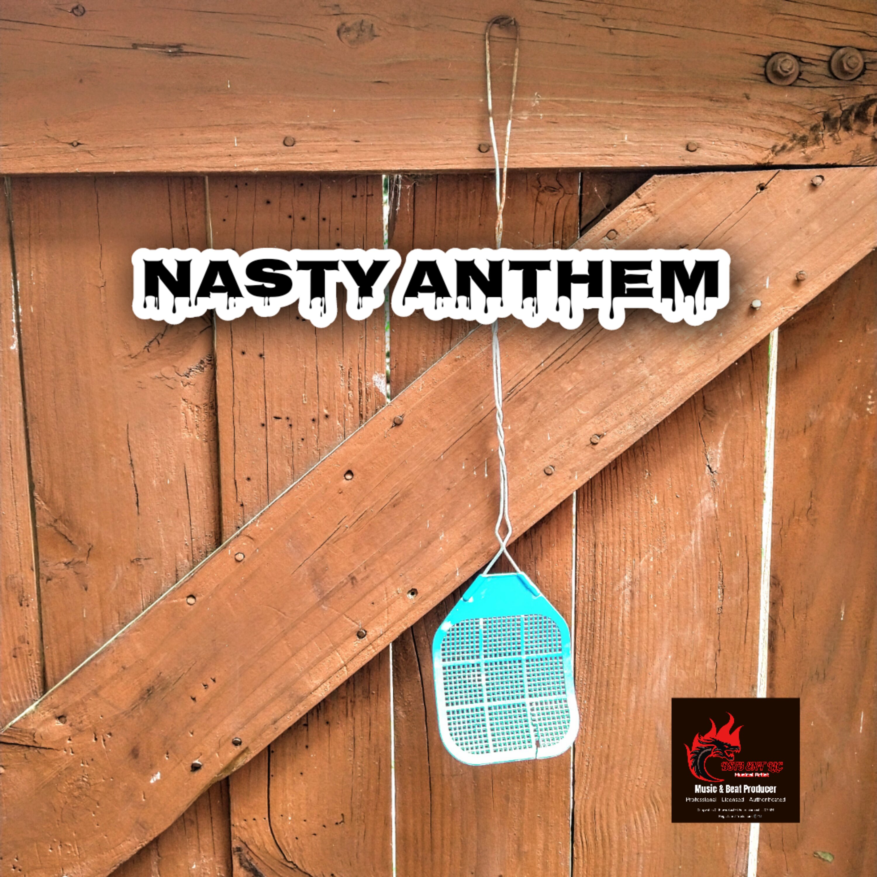 NASTY ANTHEM artwork