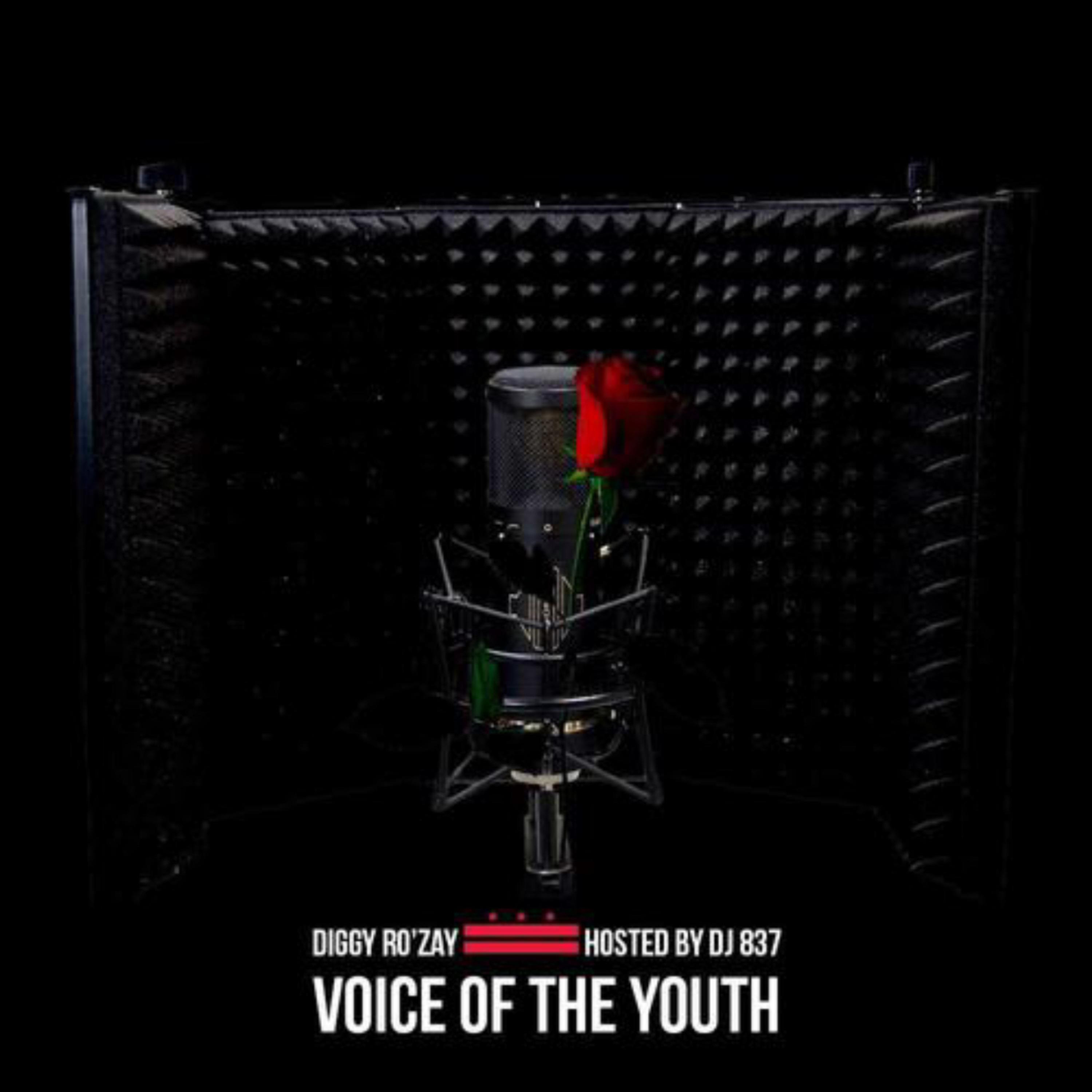 Voice Of The Youth artwork