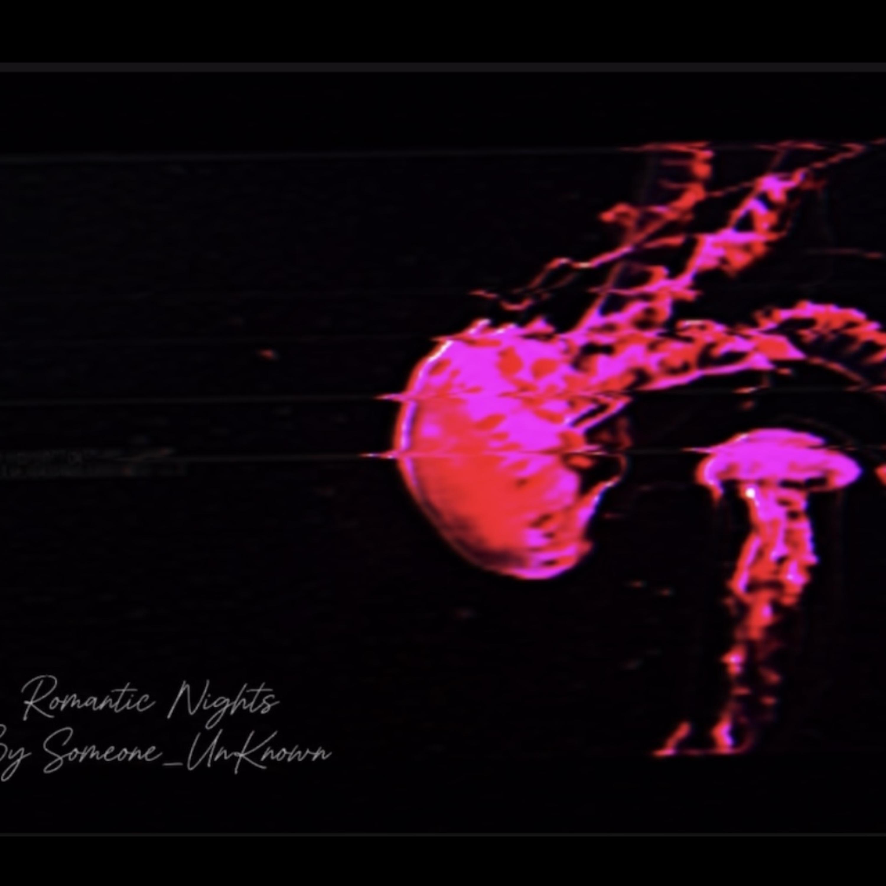 Romantic Nights artwork
