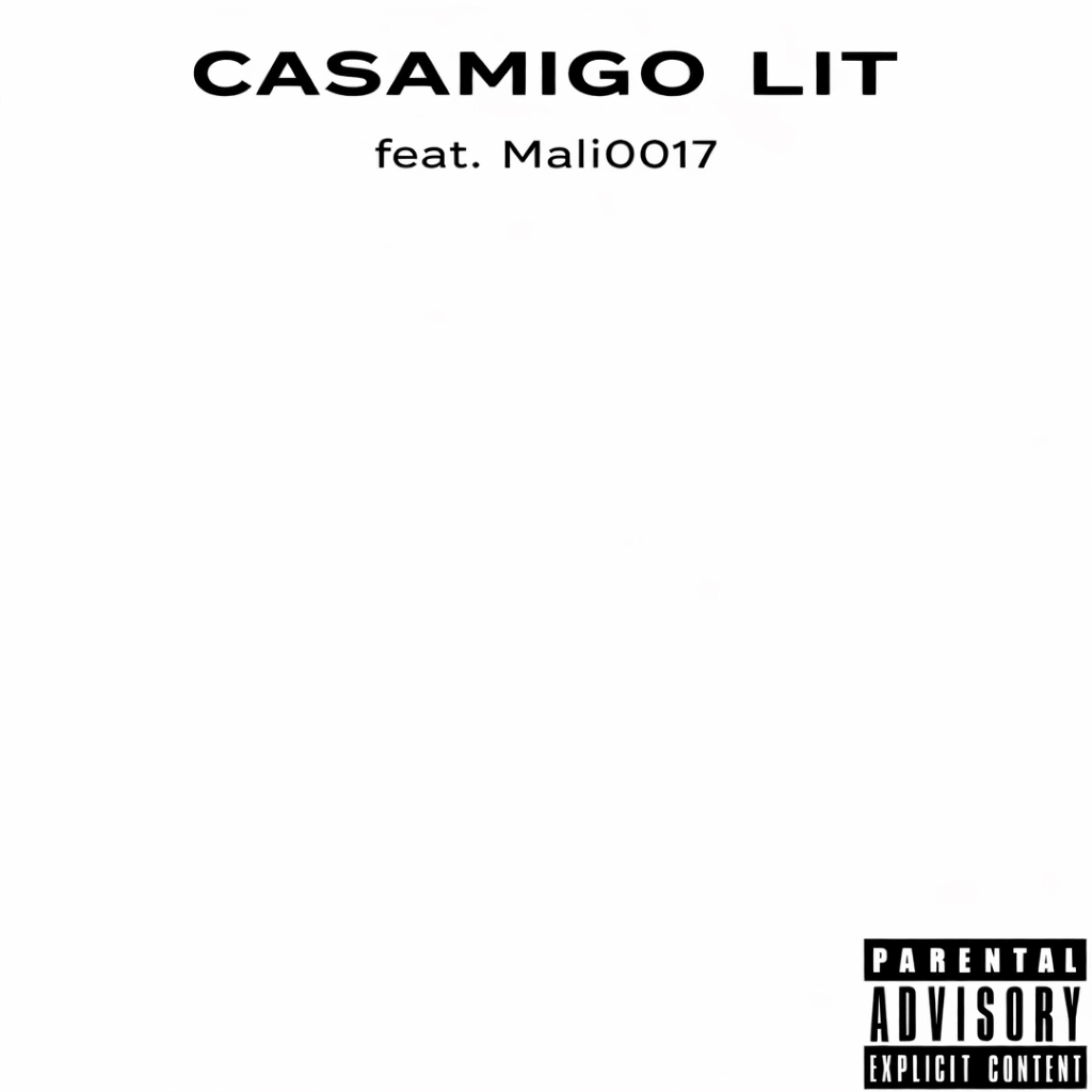 Casamigo Lit artwork
