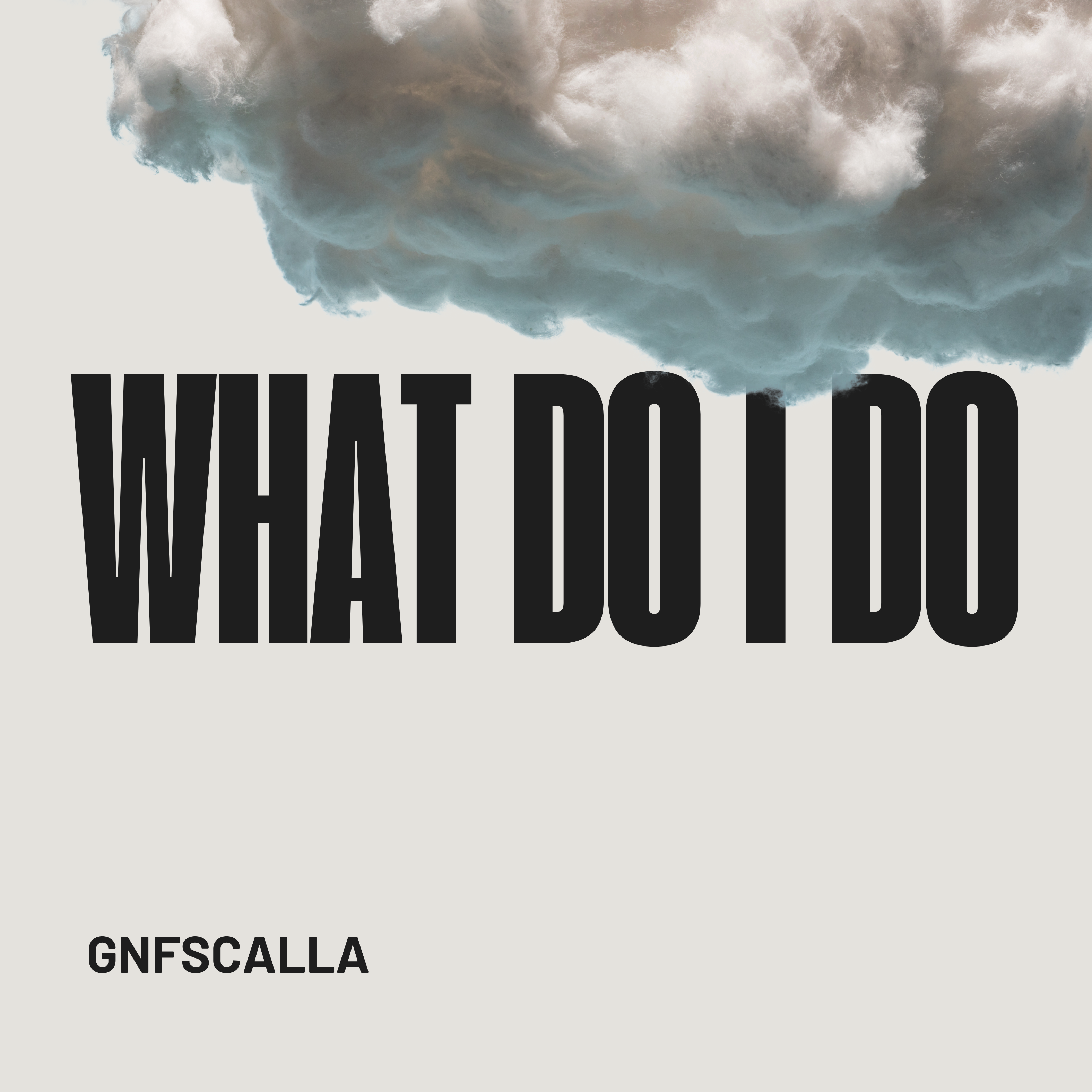 WHAT DO I DO artwork