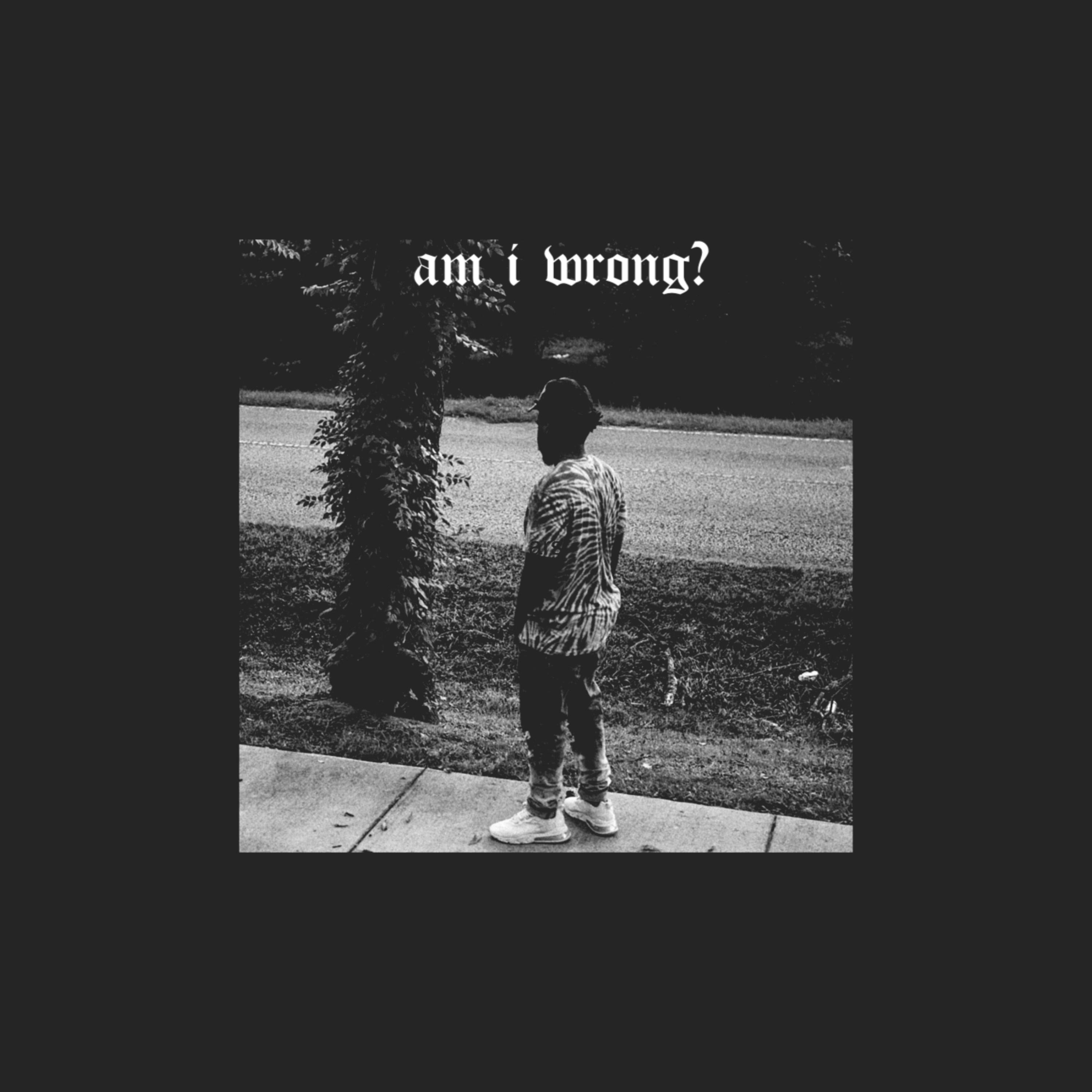 am i wrong? artwork