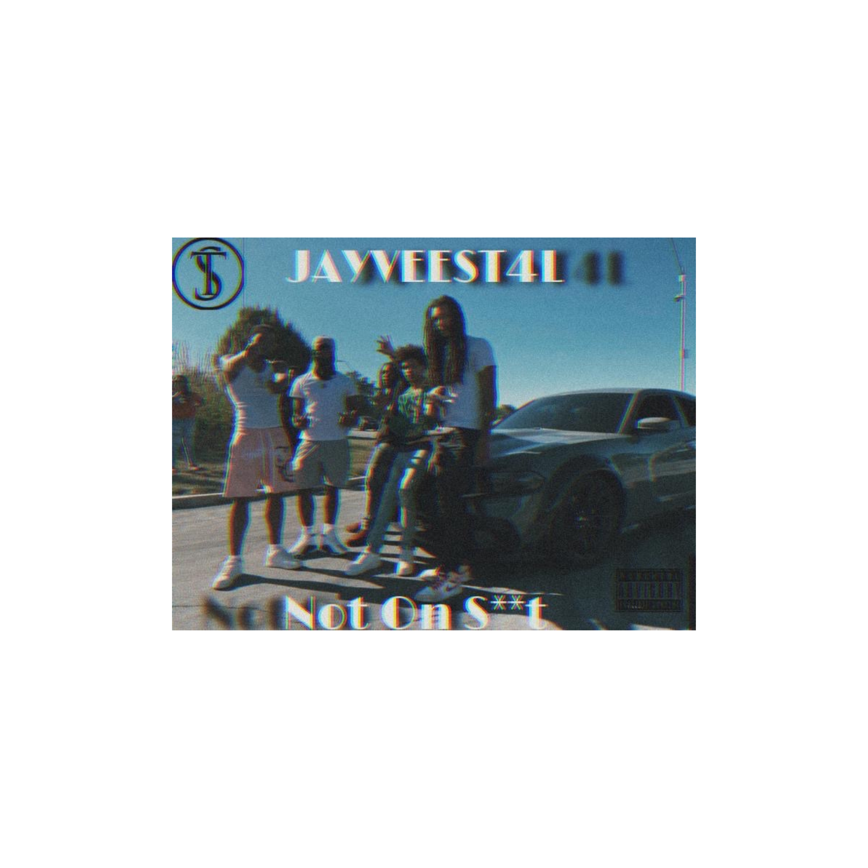 Not On Shit artwork