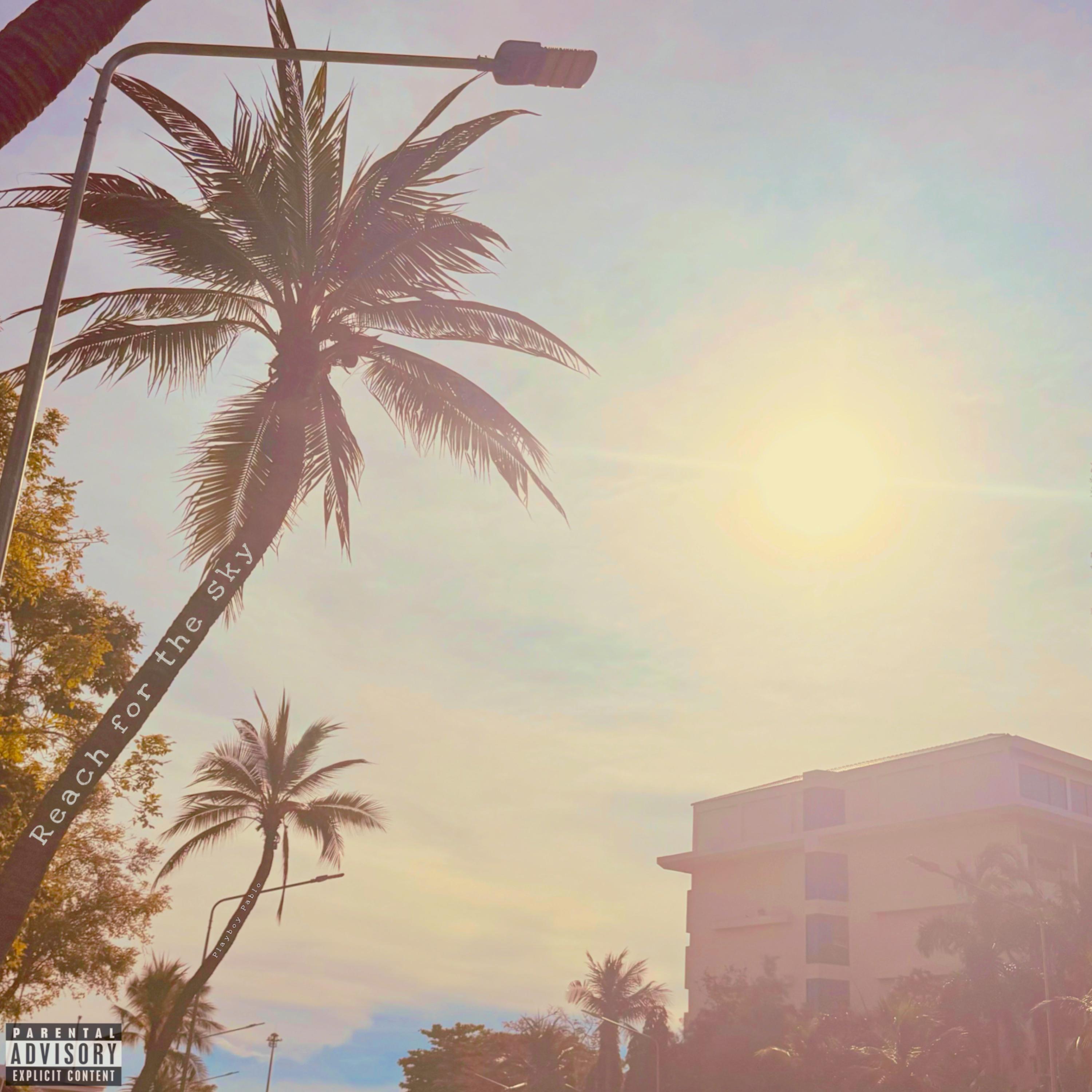 Reach For The Sky artwork