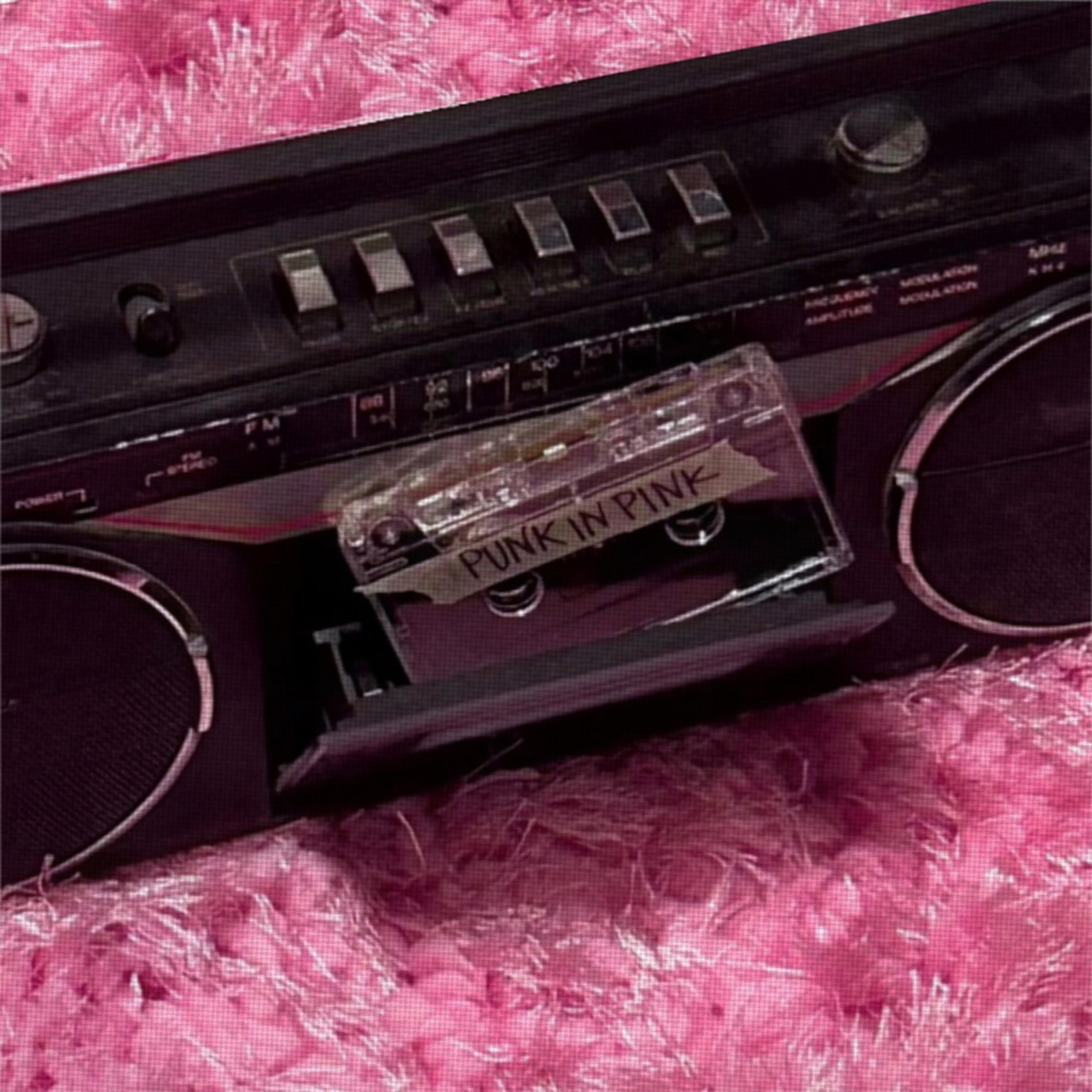 Punk In Pink artwork