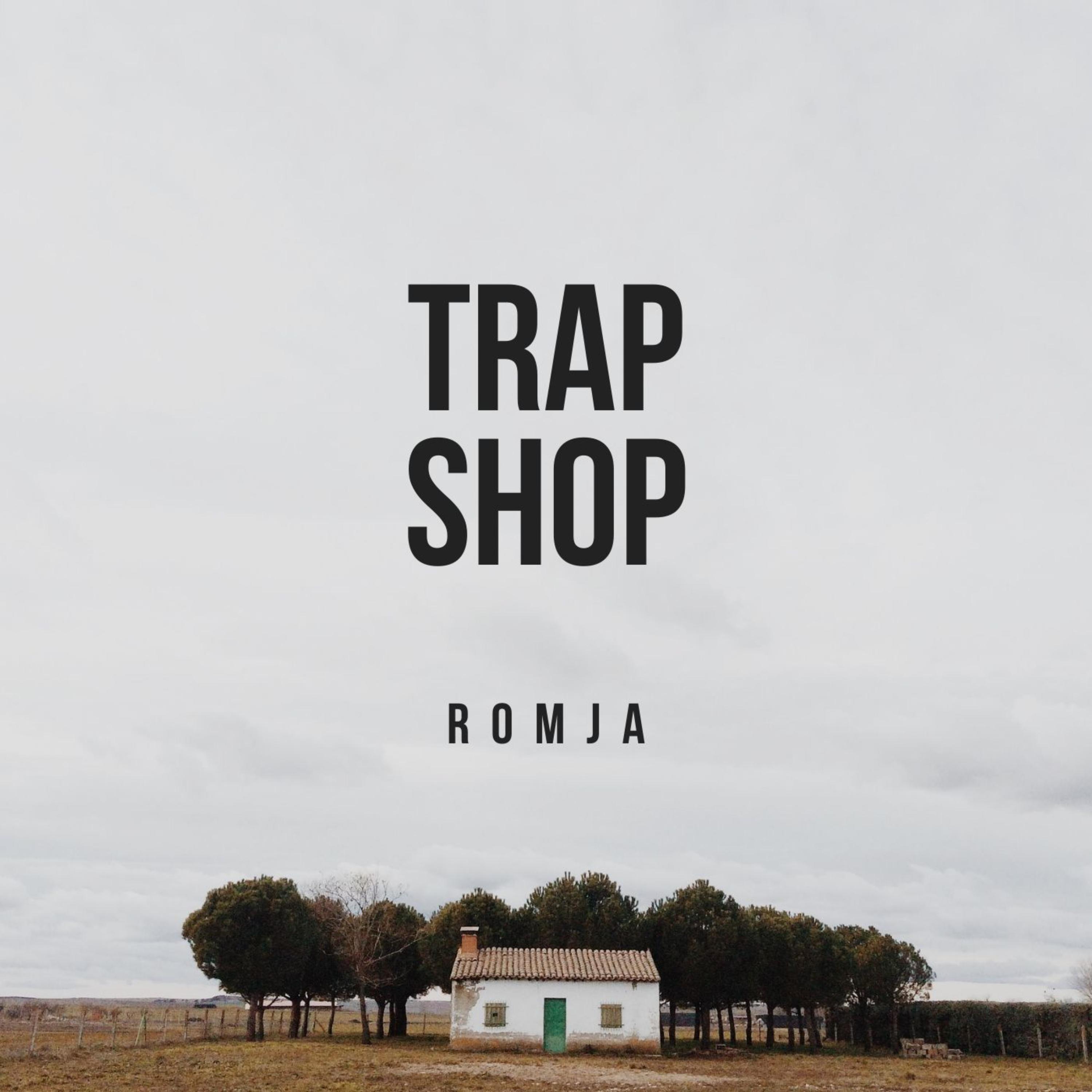 Trap Shop artwork