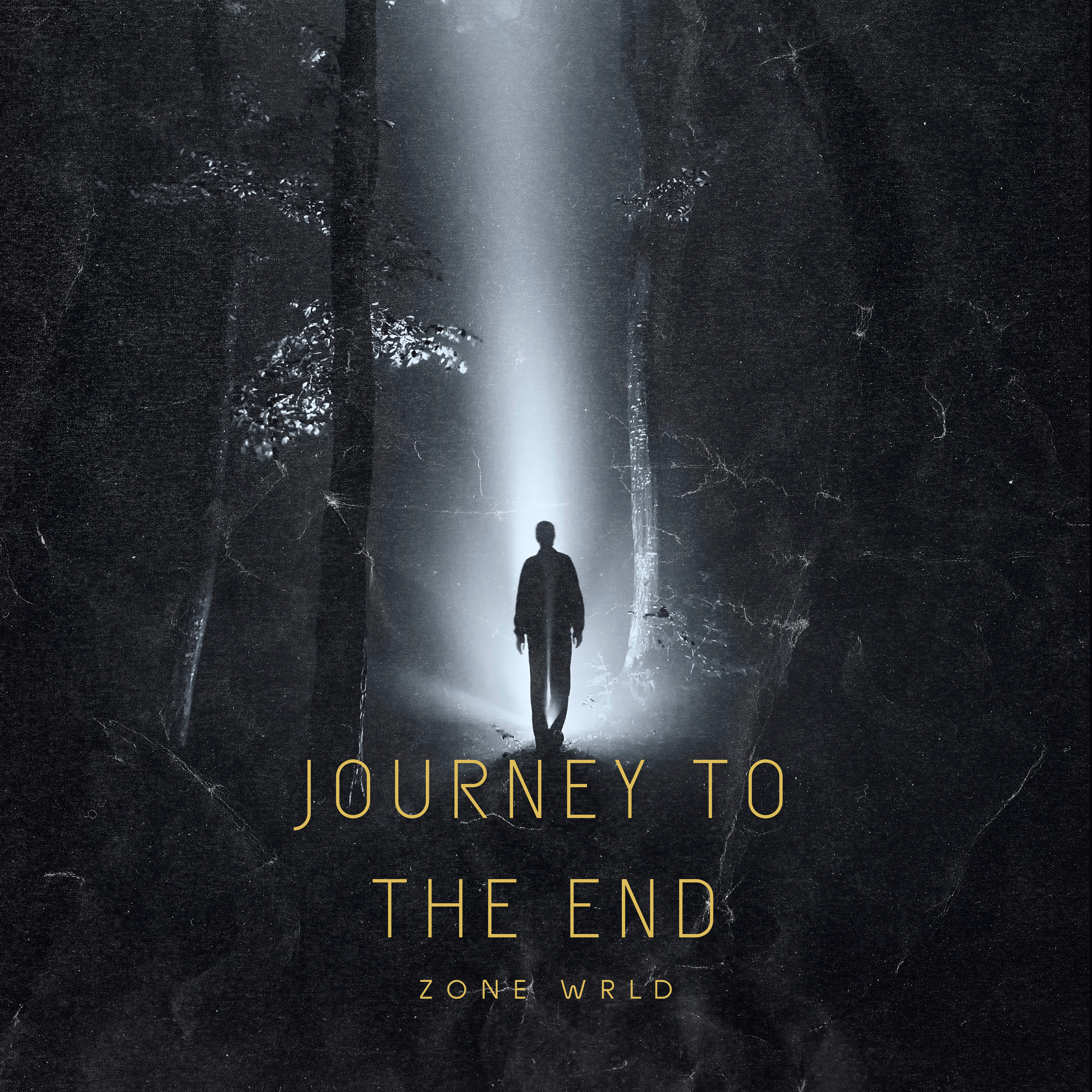 Journey To The End (deluxe) by Zone Wrld cover art