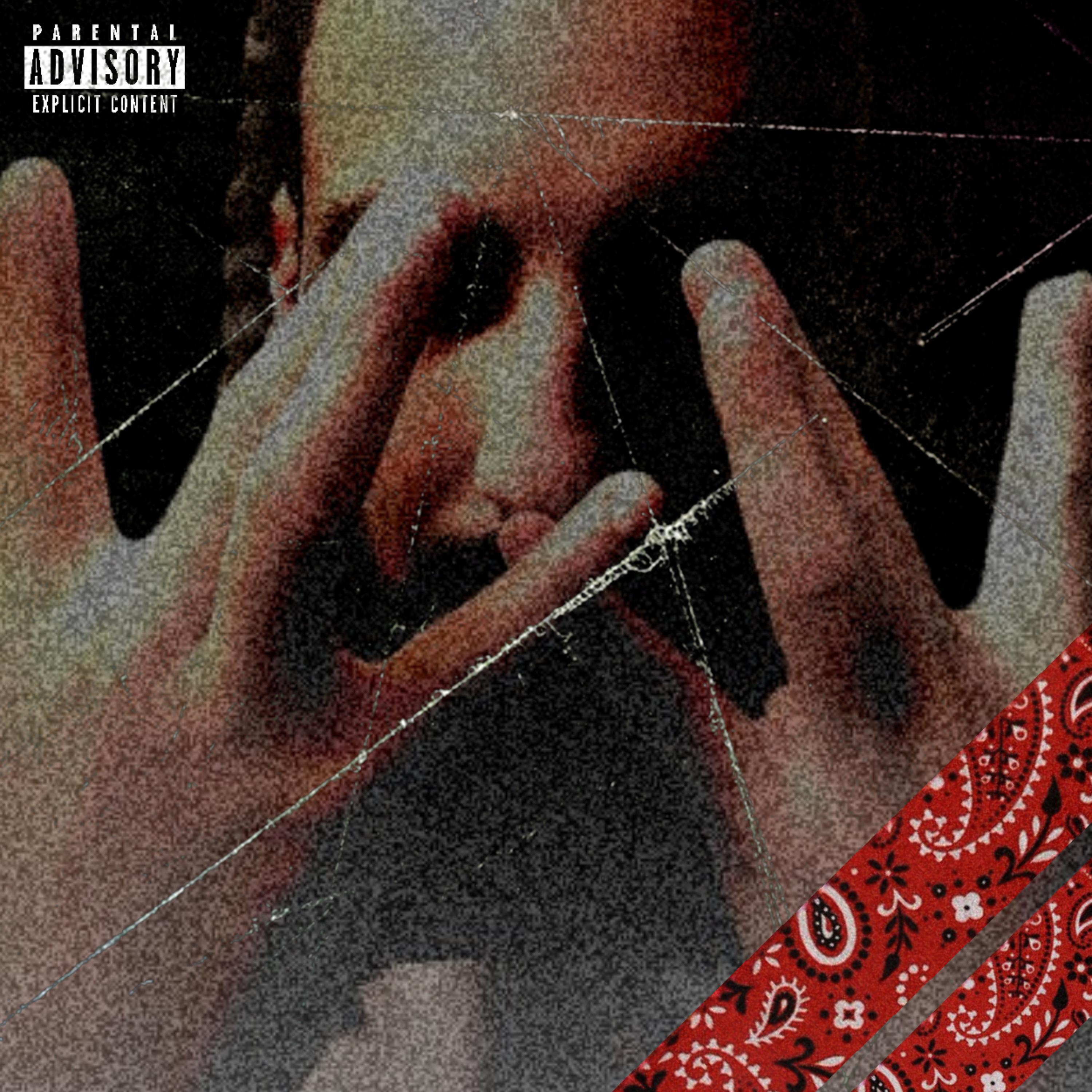 WILDWILD BLIXKY artwork