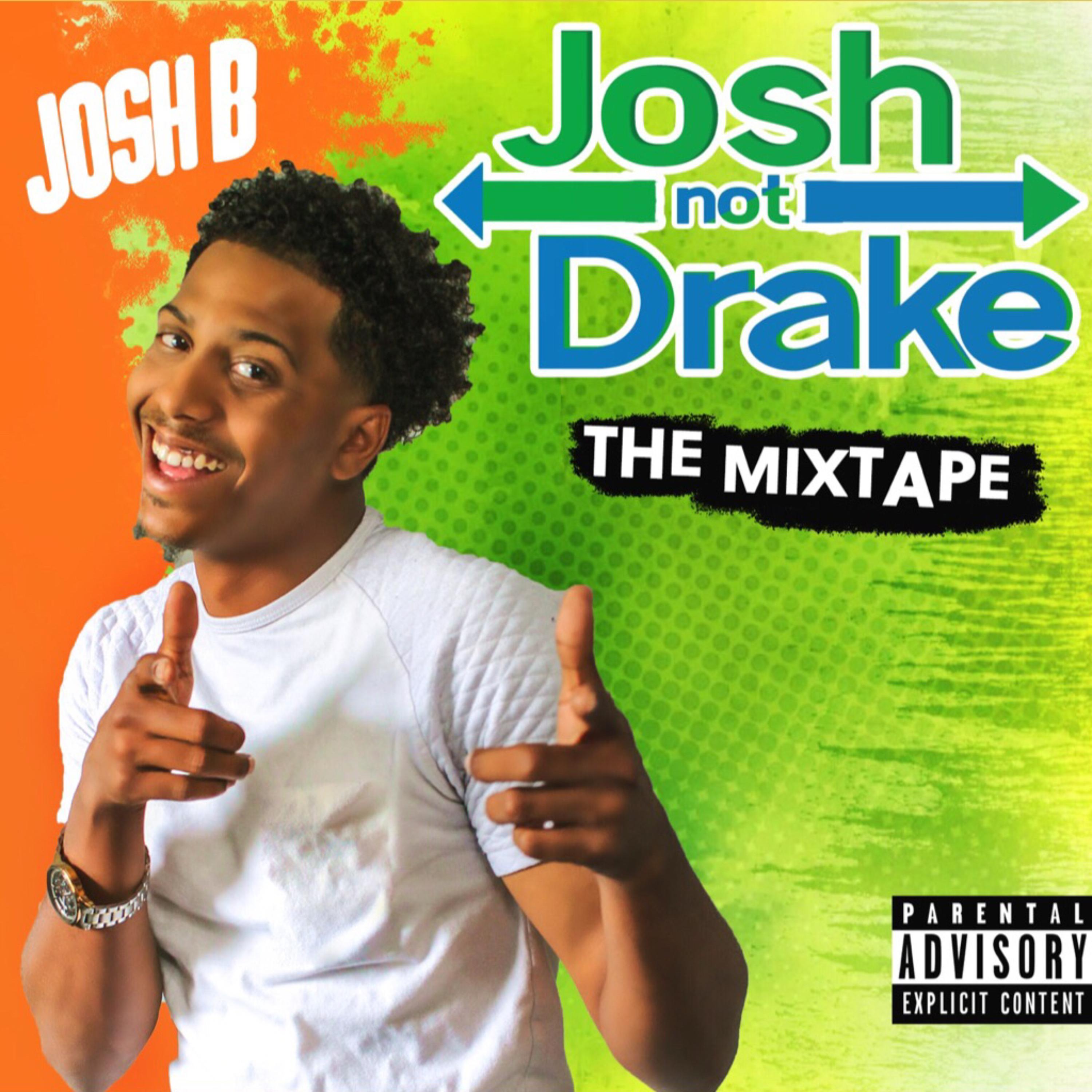Josh Not Drake artwork