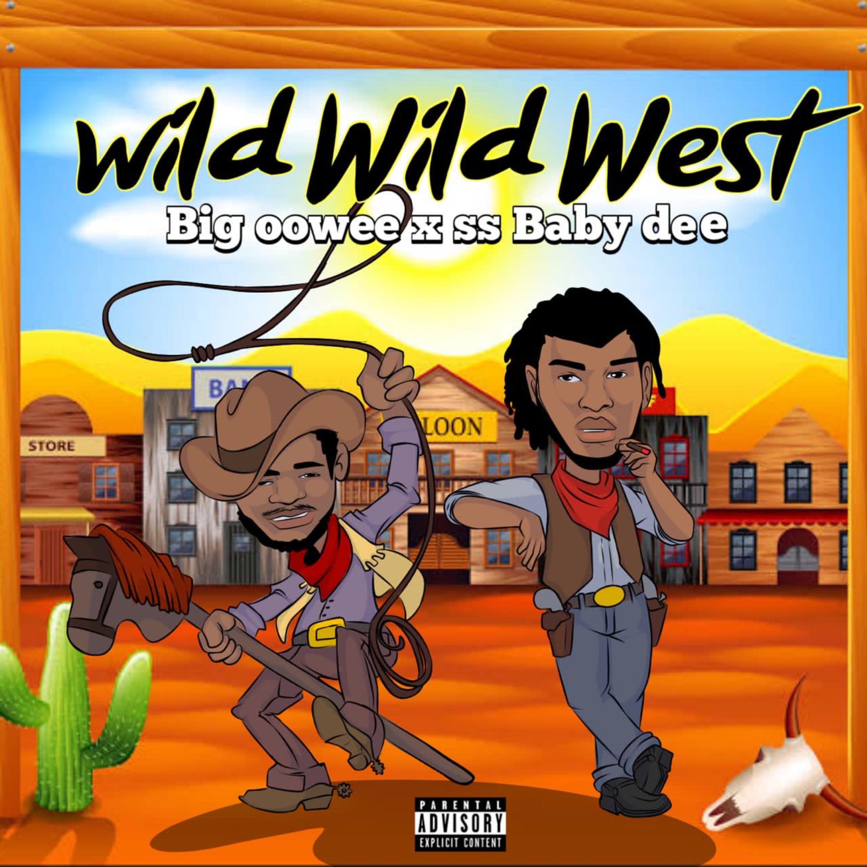 Wild Wild West artwork