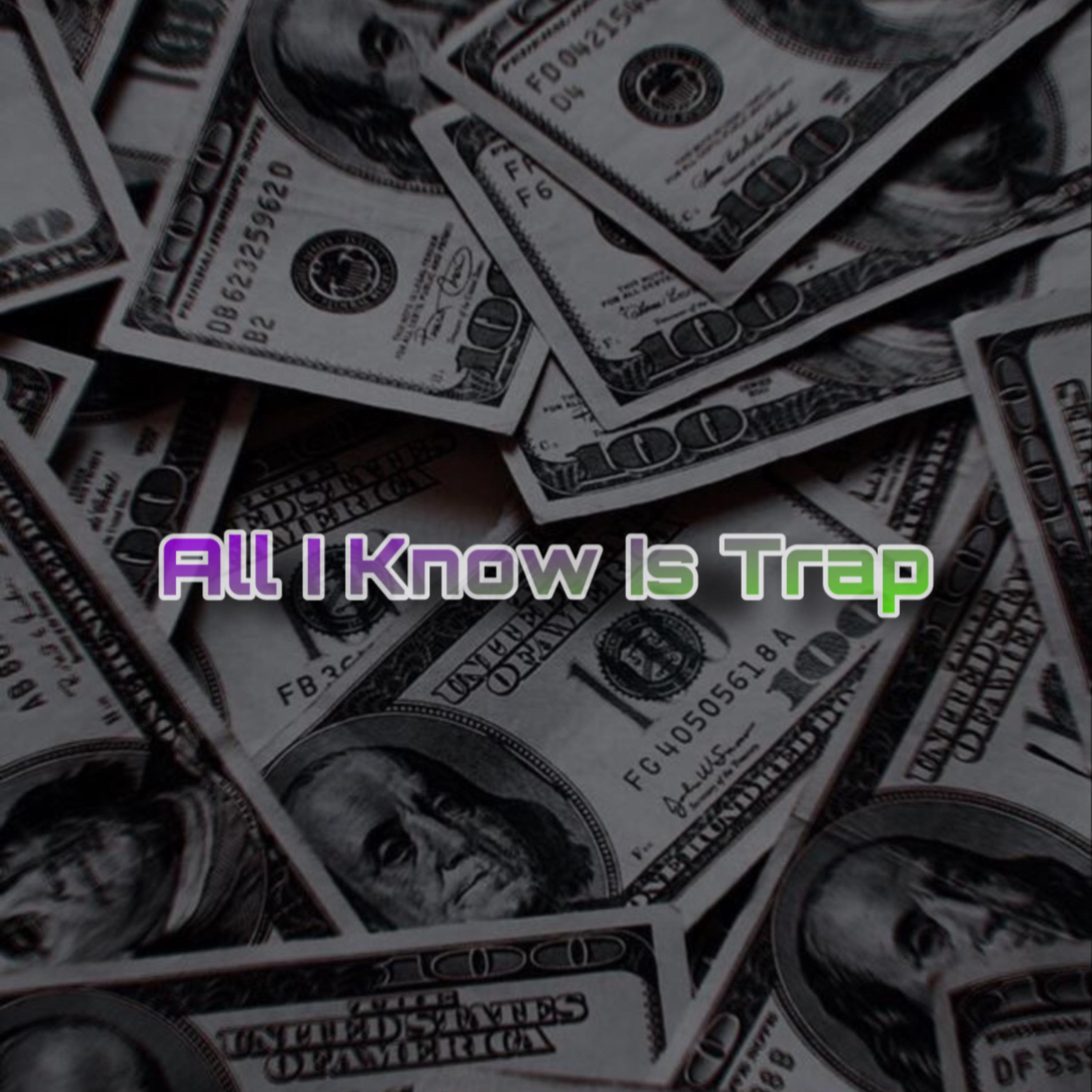 All I Know Is Trap artwork