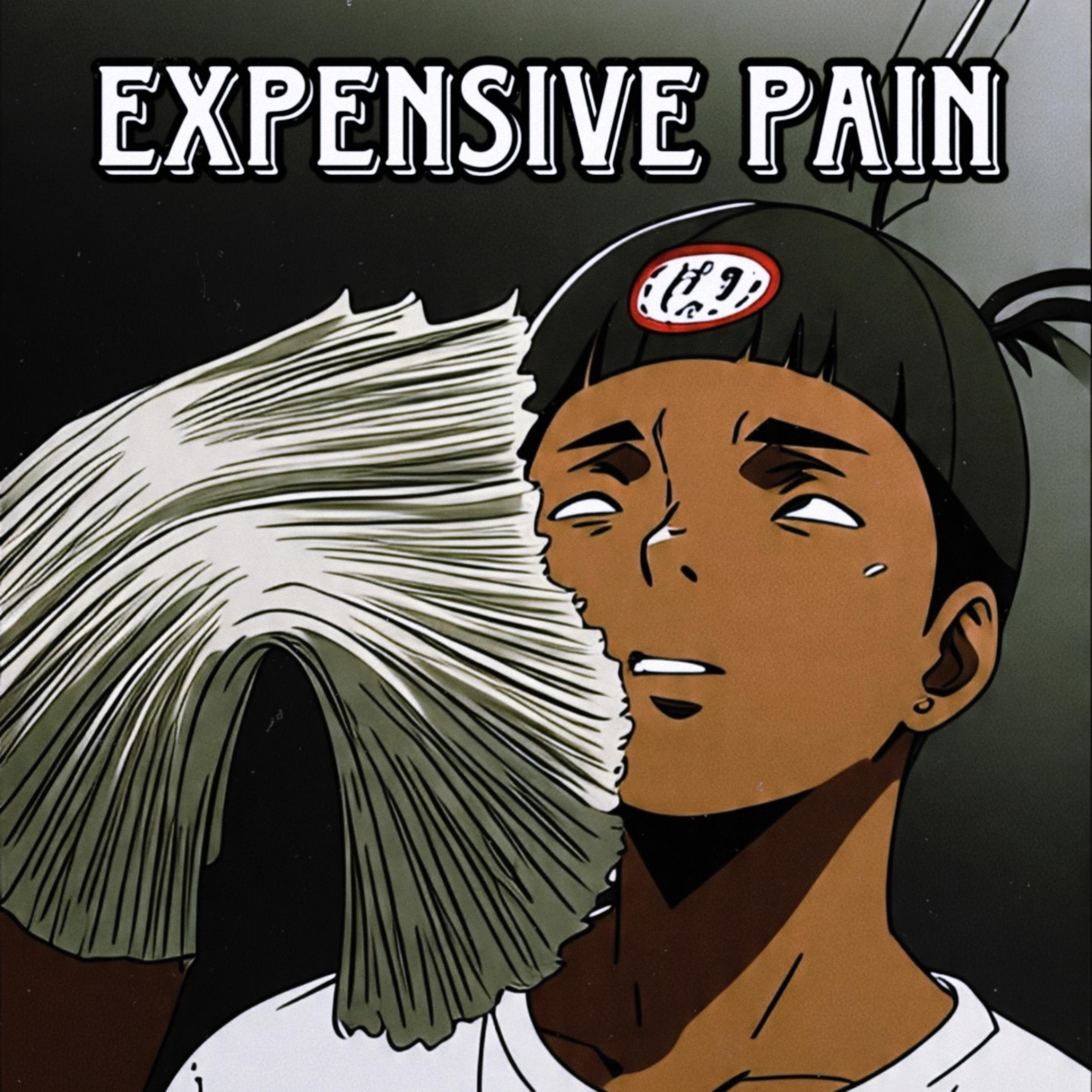 Expensive Pain artwork