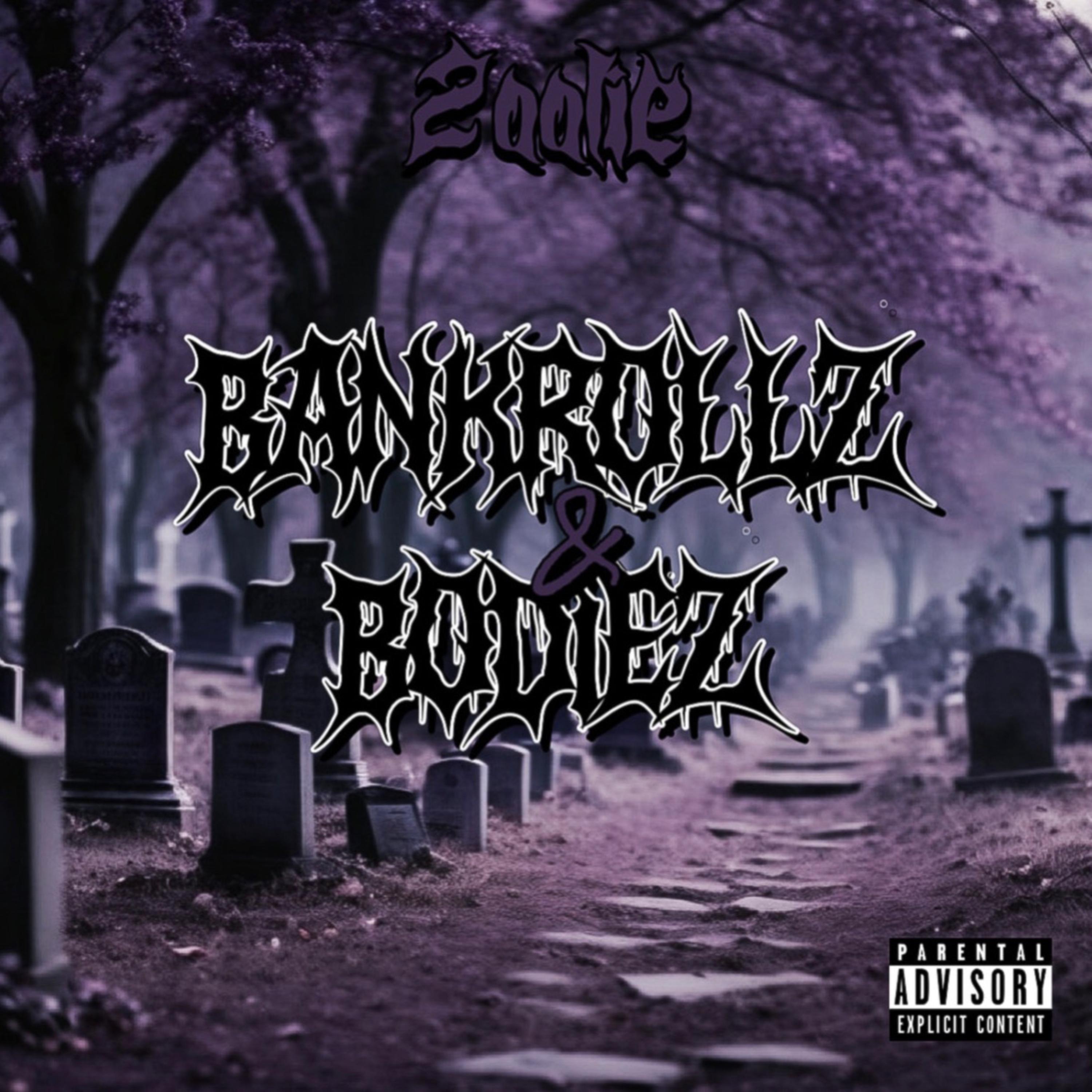 BANKROLLZ & BODIEZ by 2oolie cover art