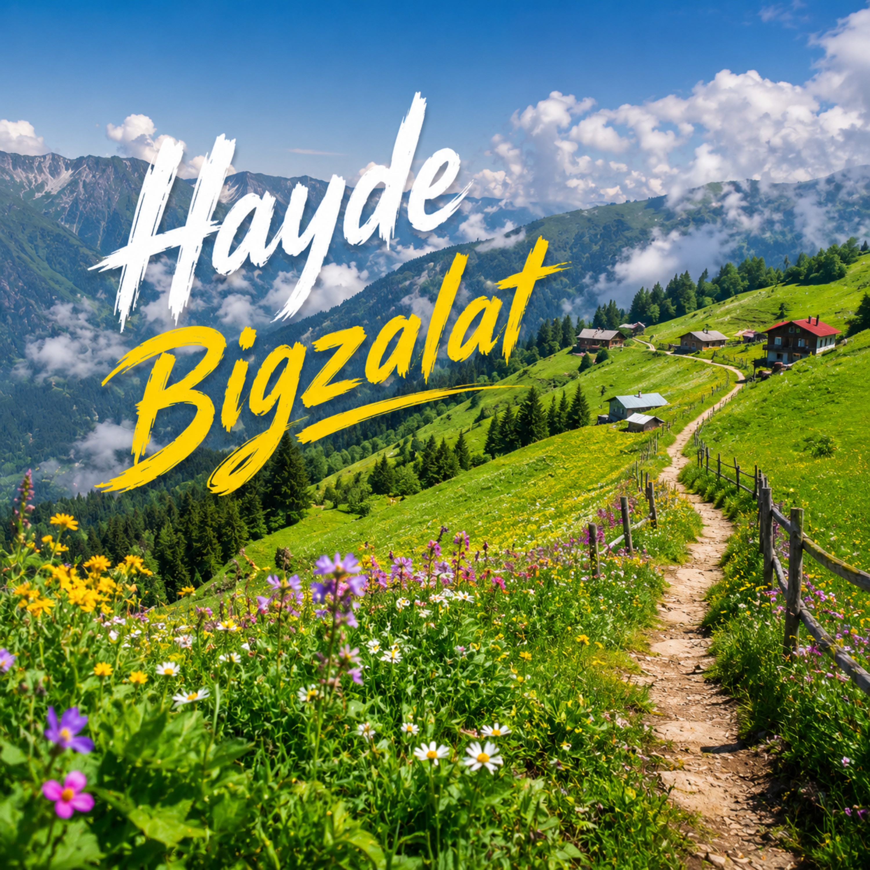 Hayde Bigzalat Hayde by Ritimya cover art