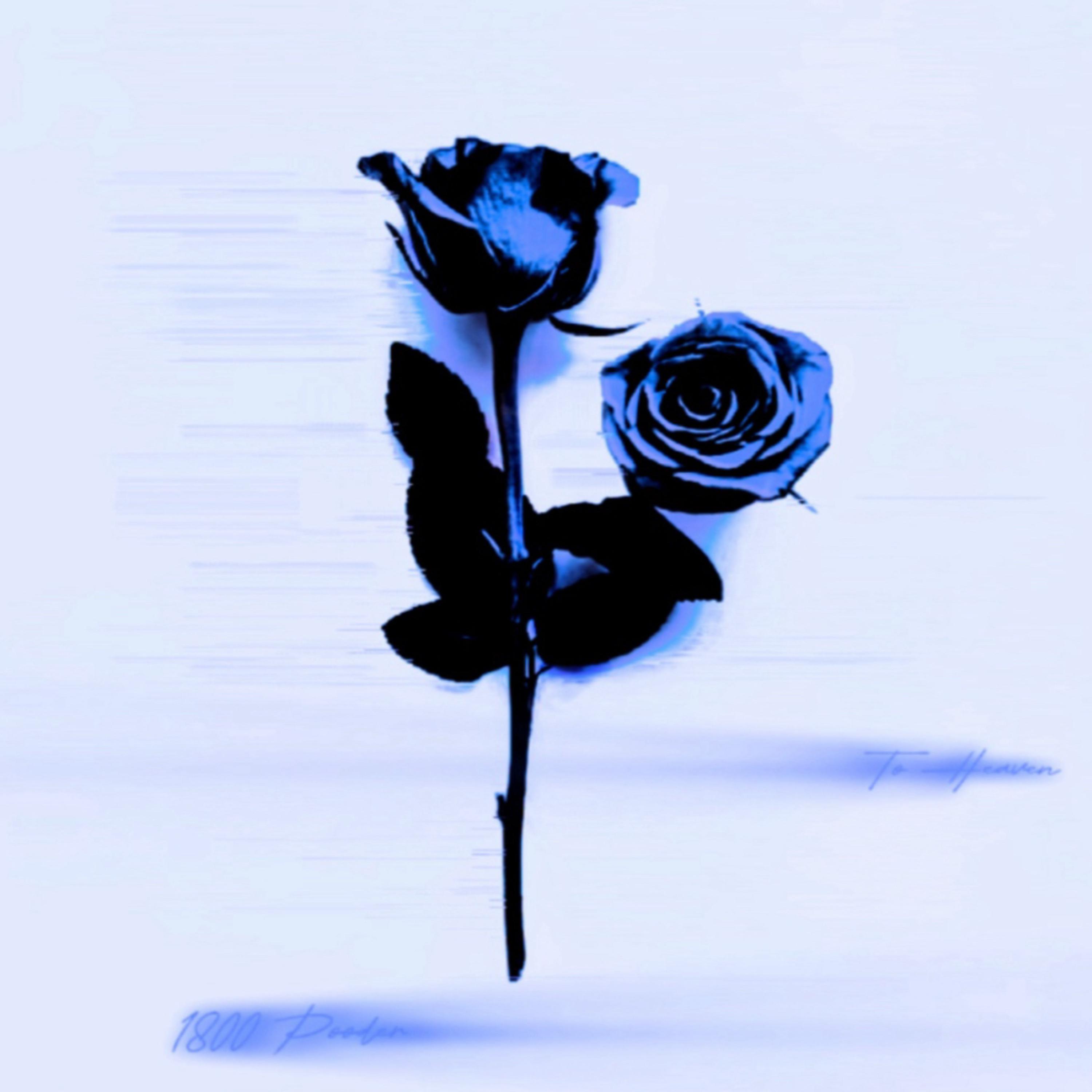 Bonnie & Klyde artwork