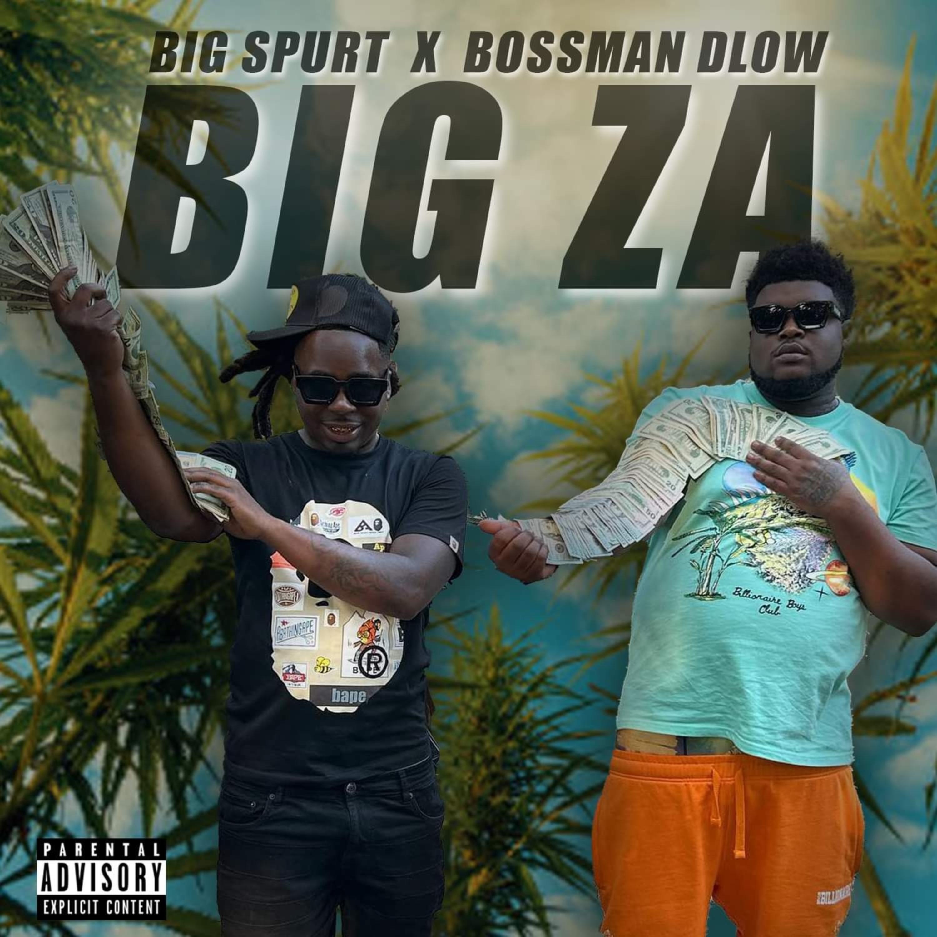 Big Za artwork