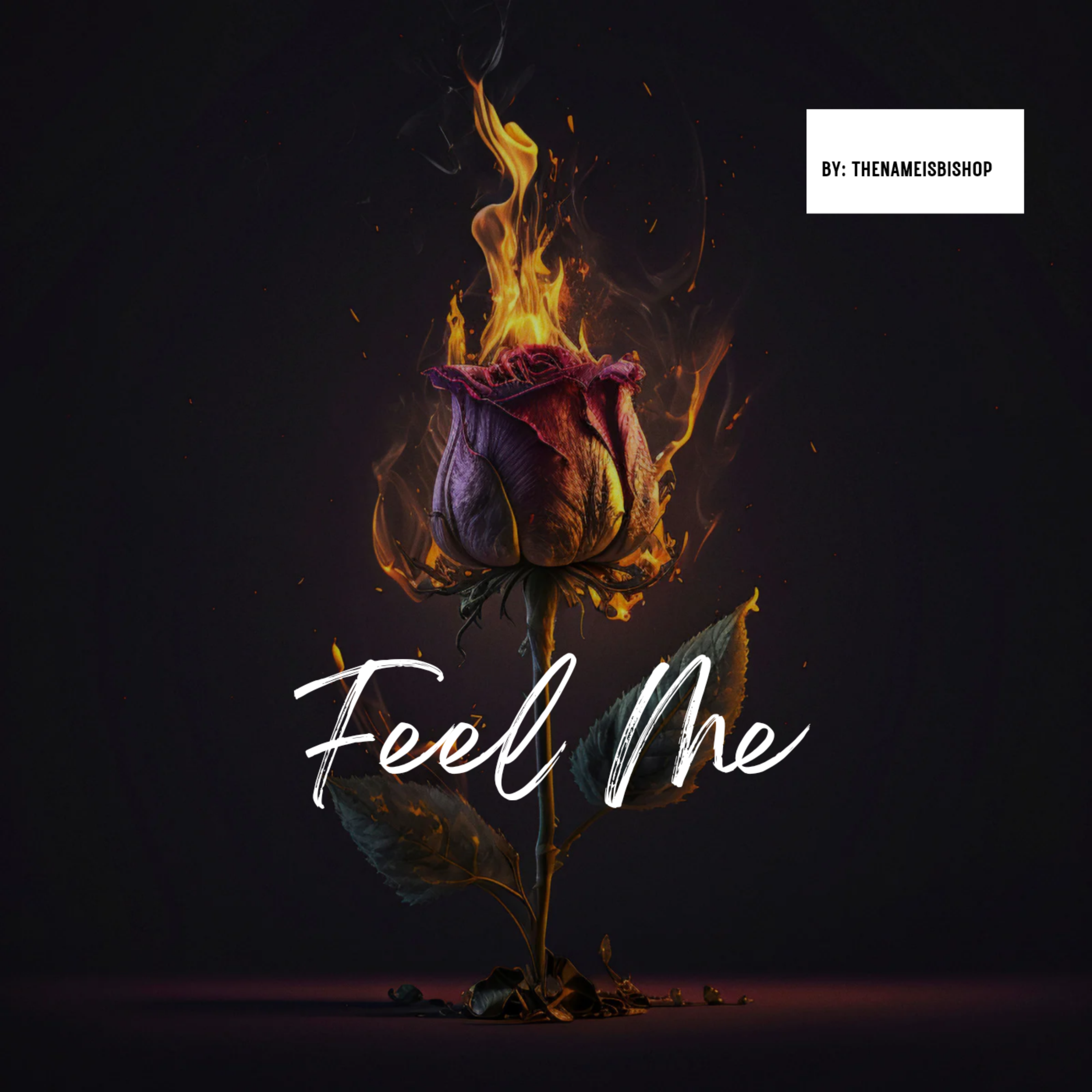 Feel Me artwork