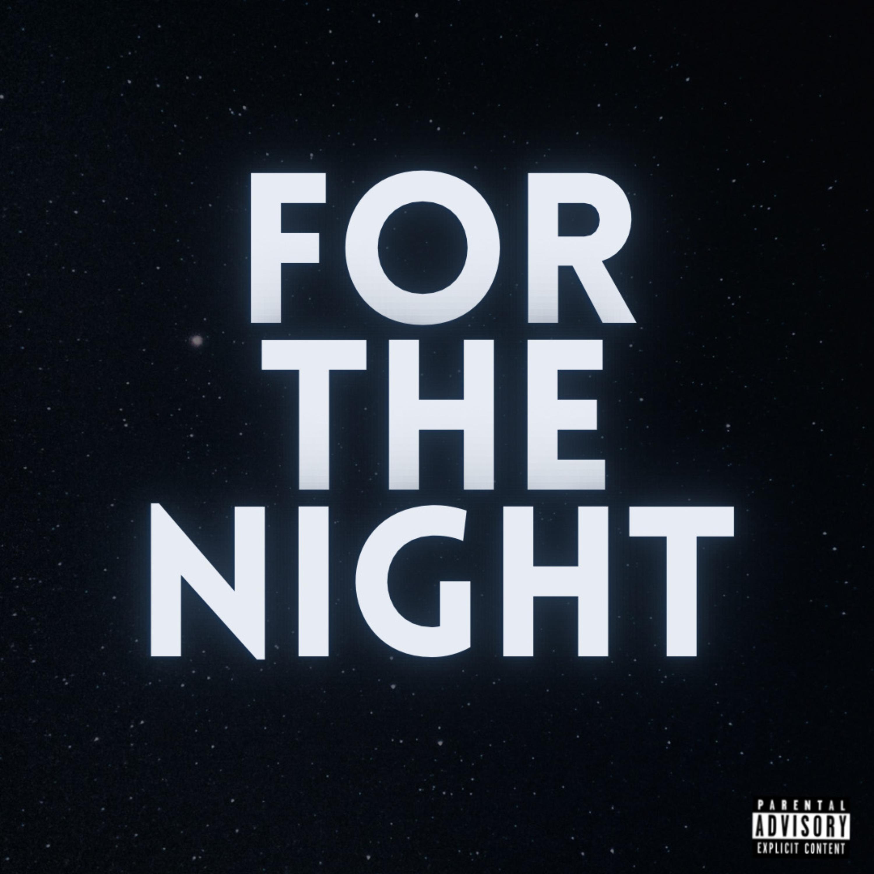 For The Night artwork