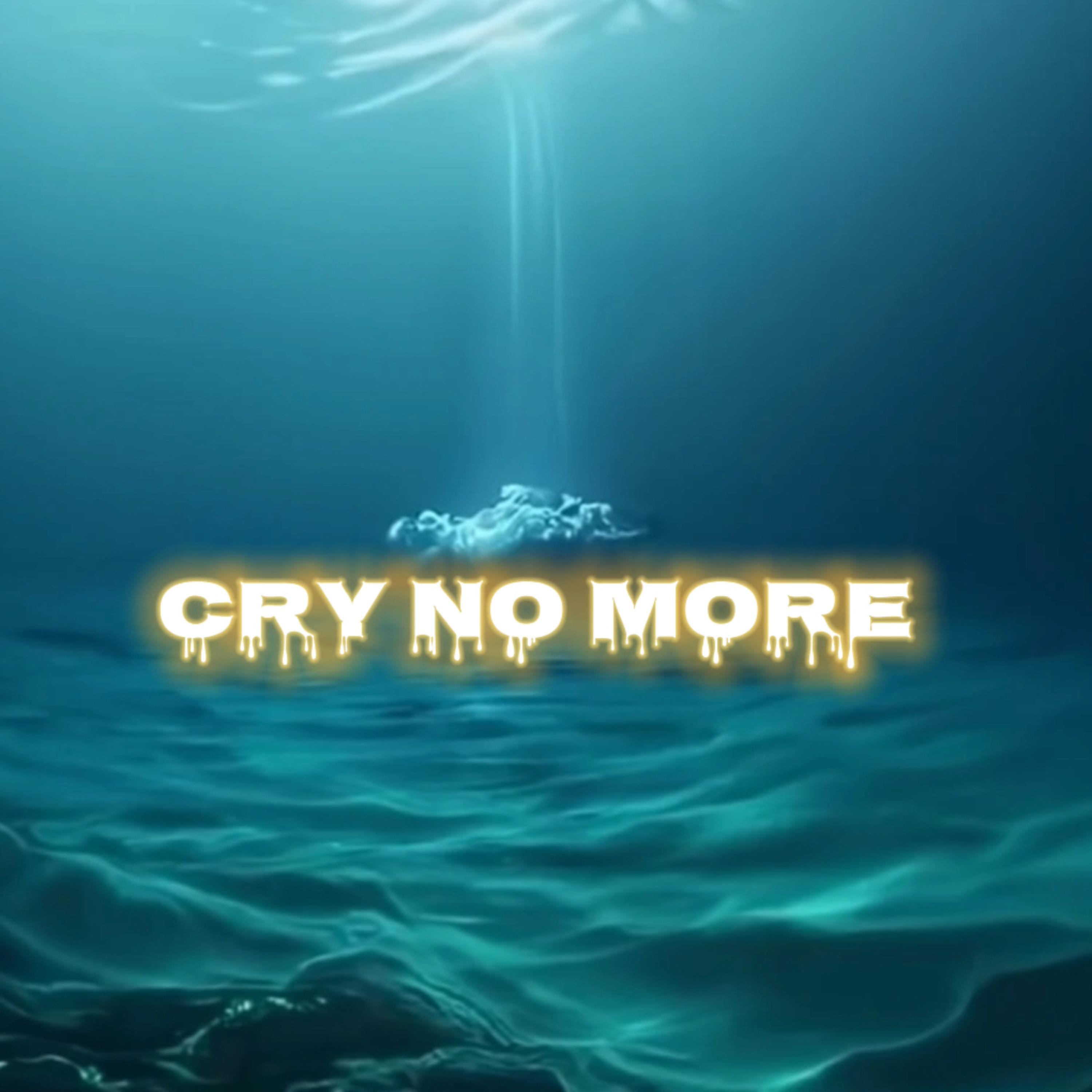 Cry No More artwork