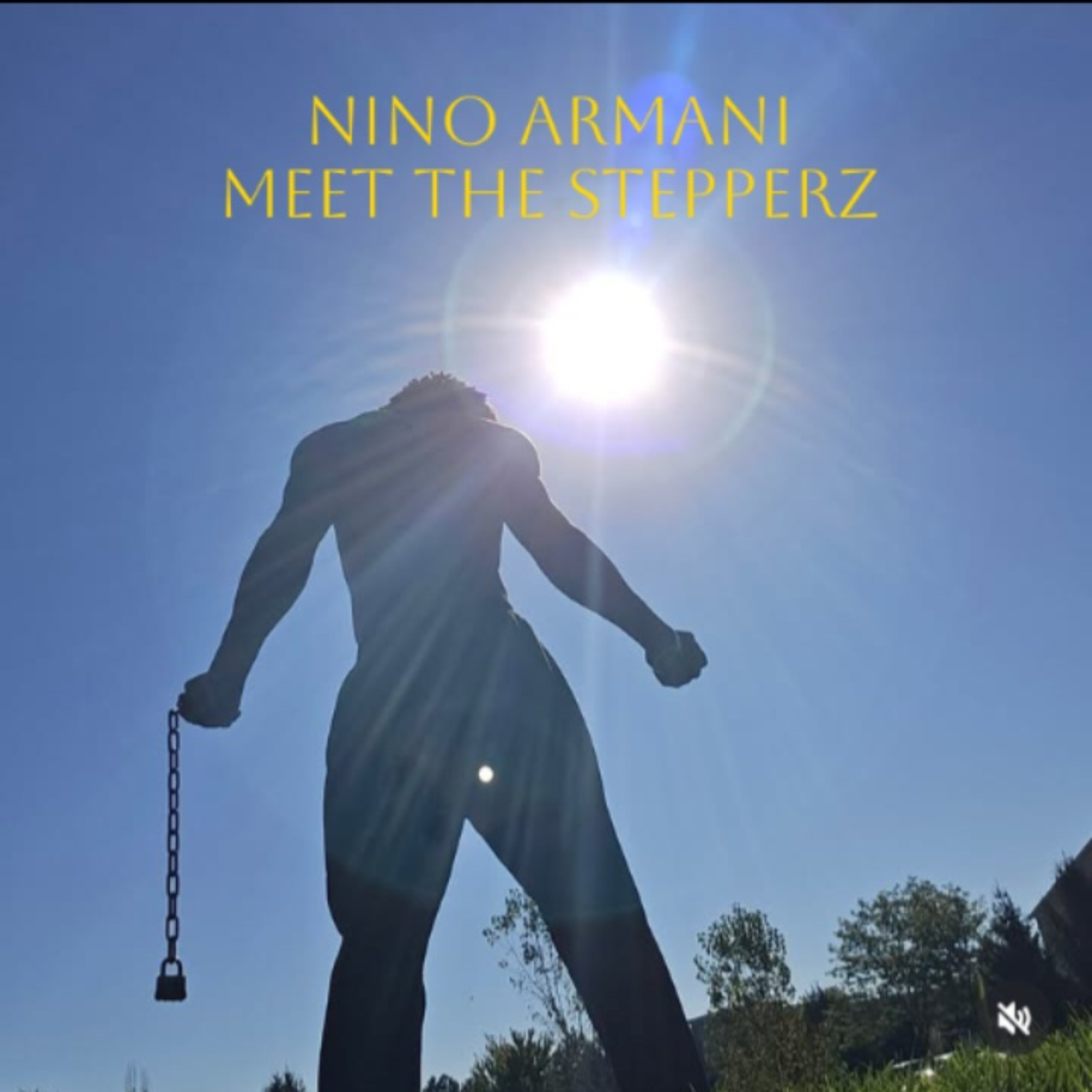MEET THE STEPPERZ artwork