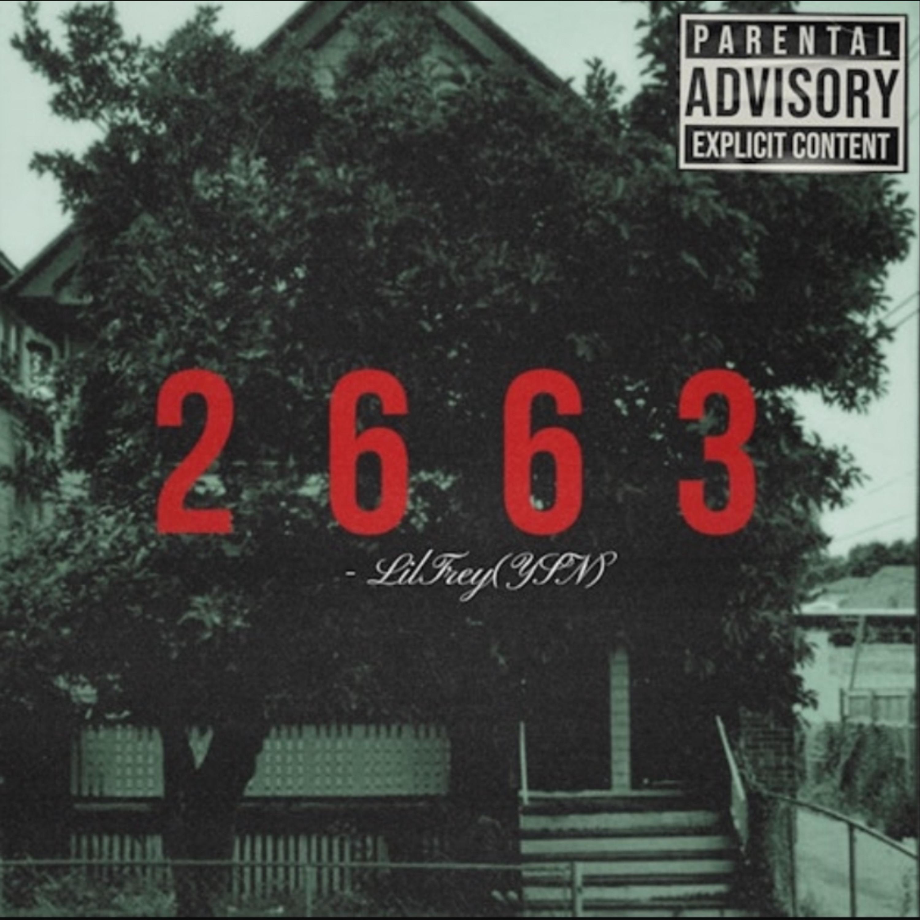 2663 artwork