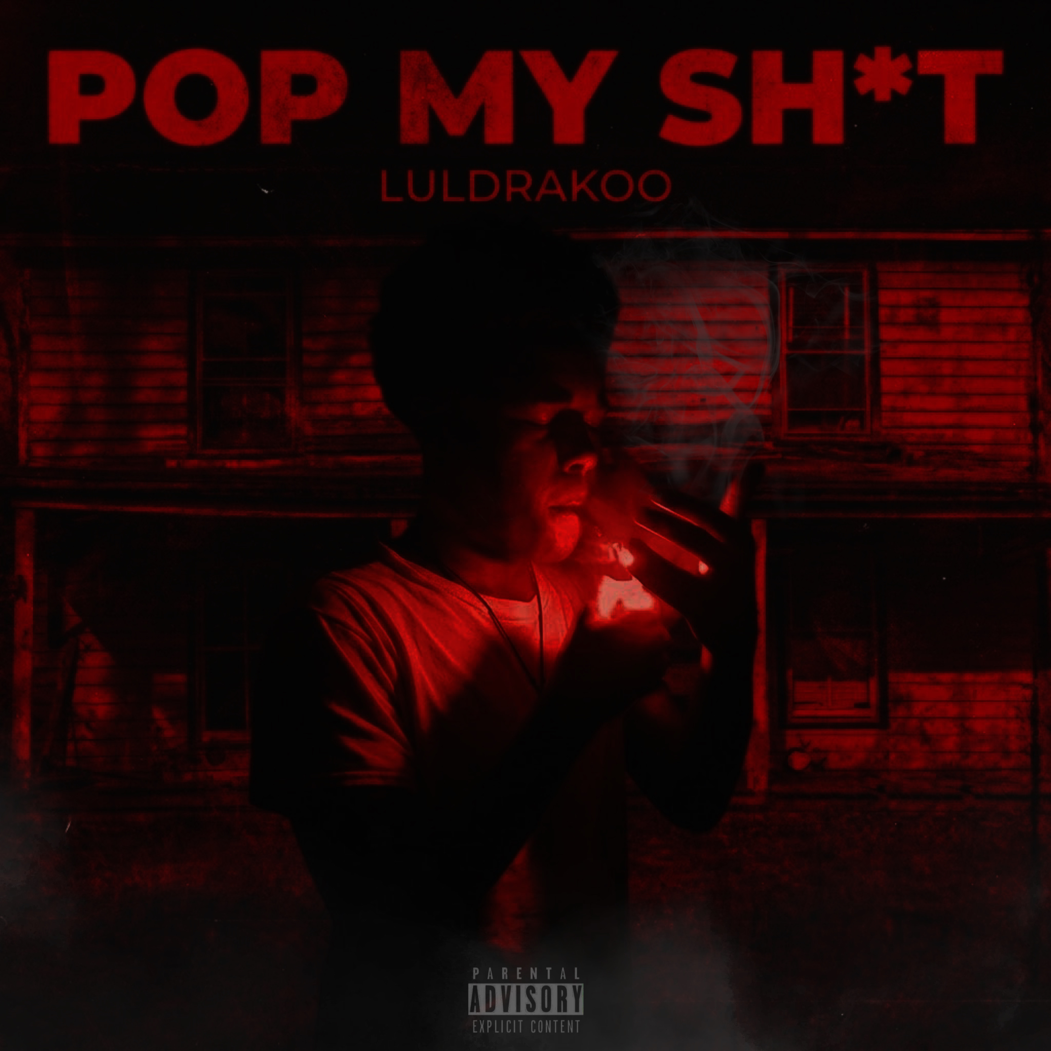 Pop My Shit by Luldrakoo cover art