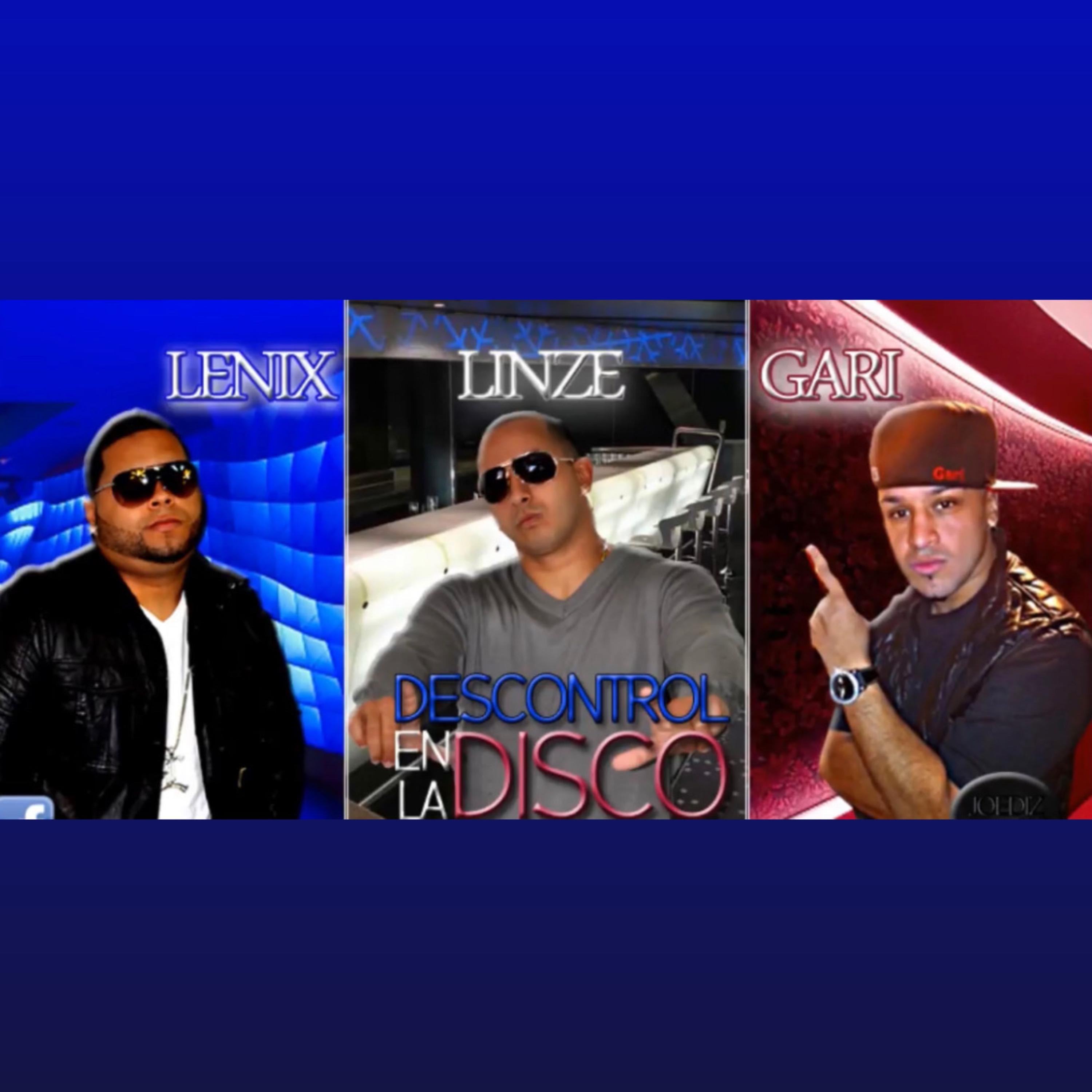 Descontrol En La Disco. artwork