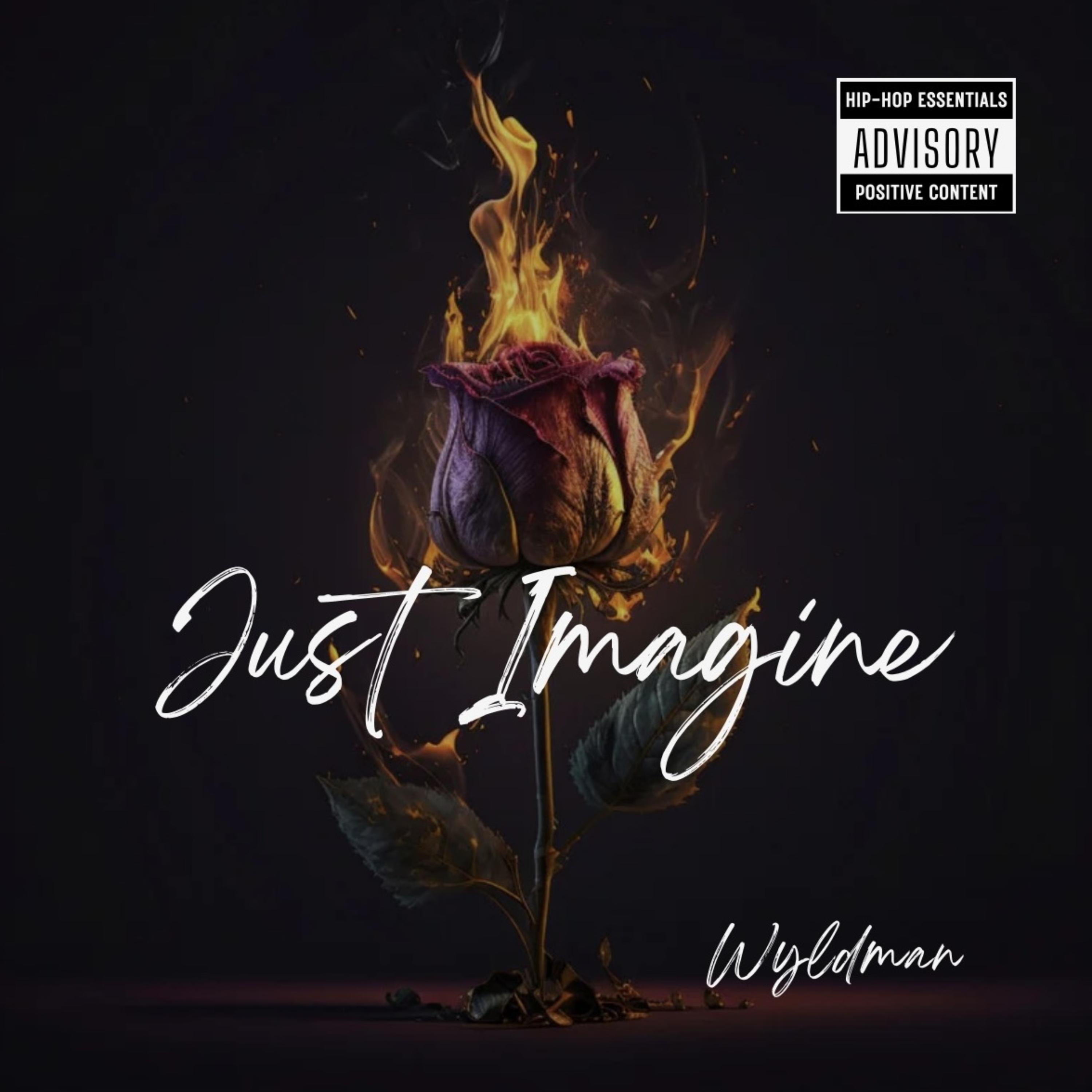 Just Imagine... artwork