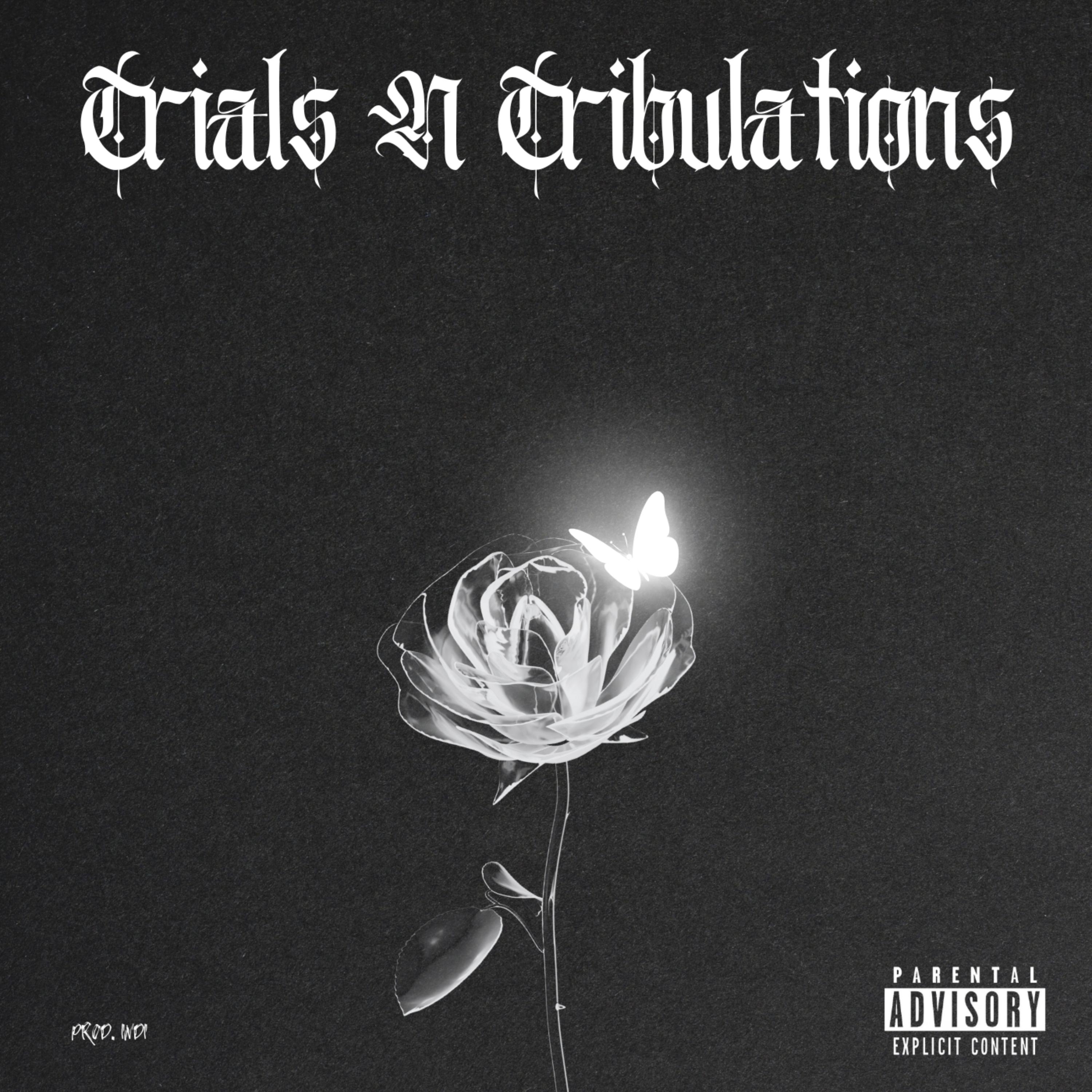Trials N Tribulations artwork