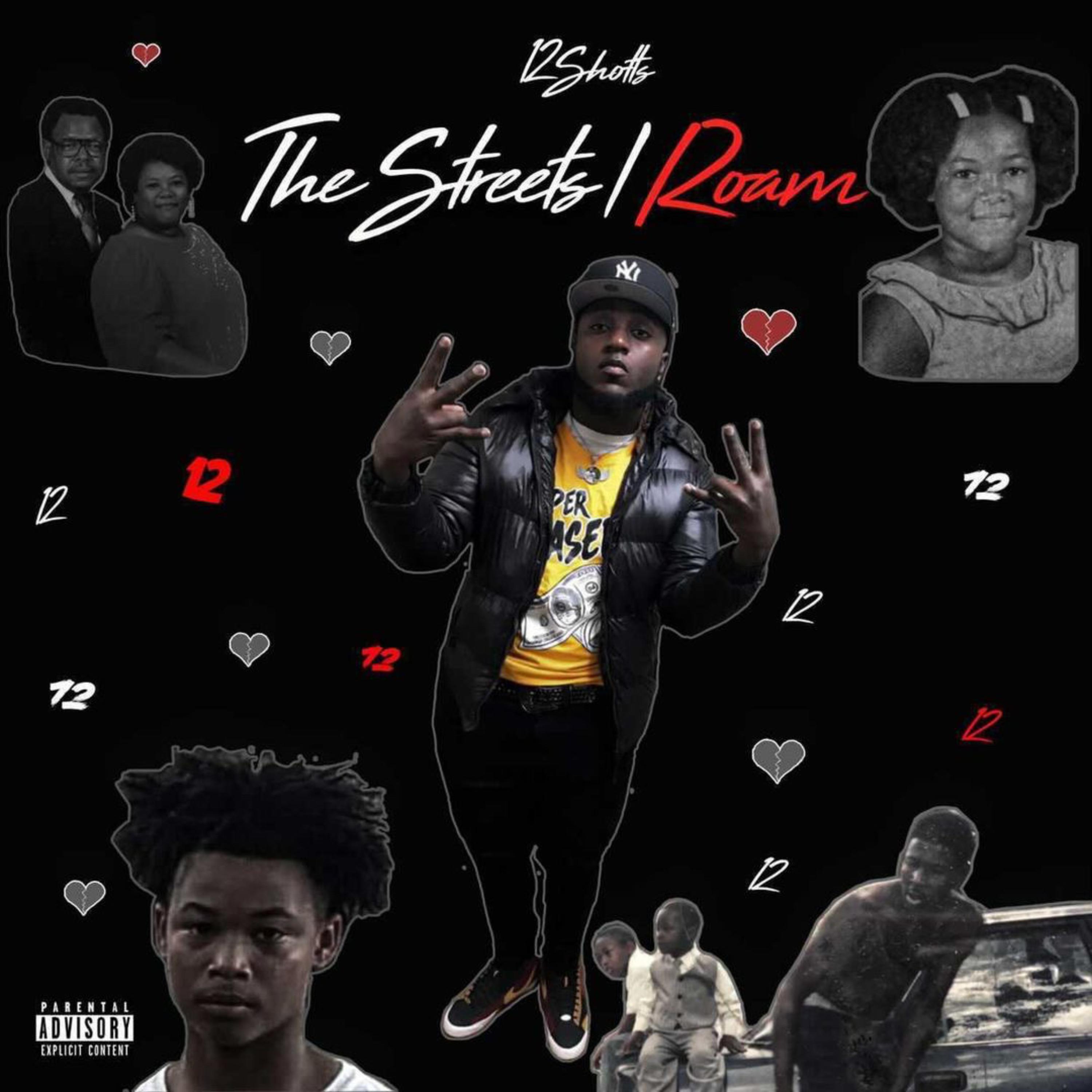 The Streets I Roam artwork