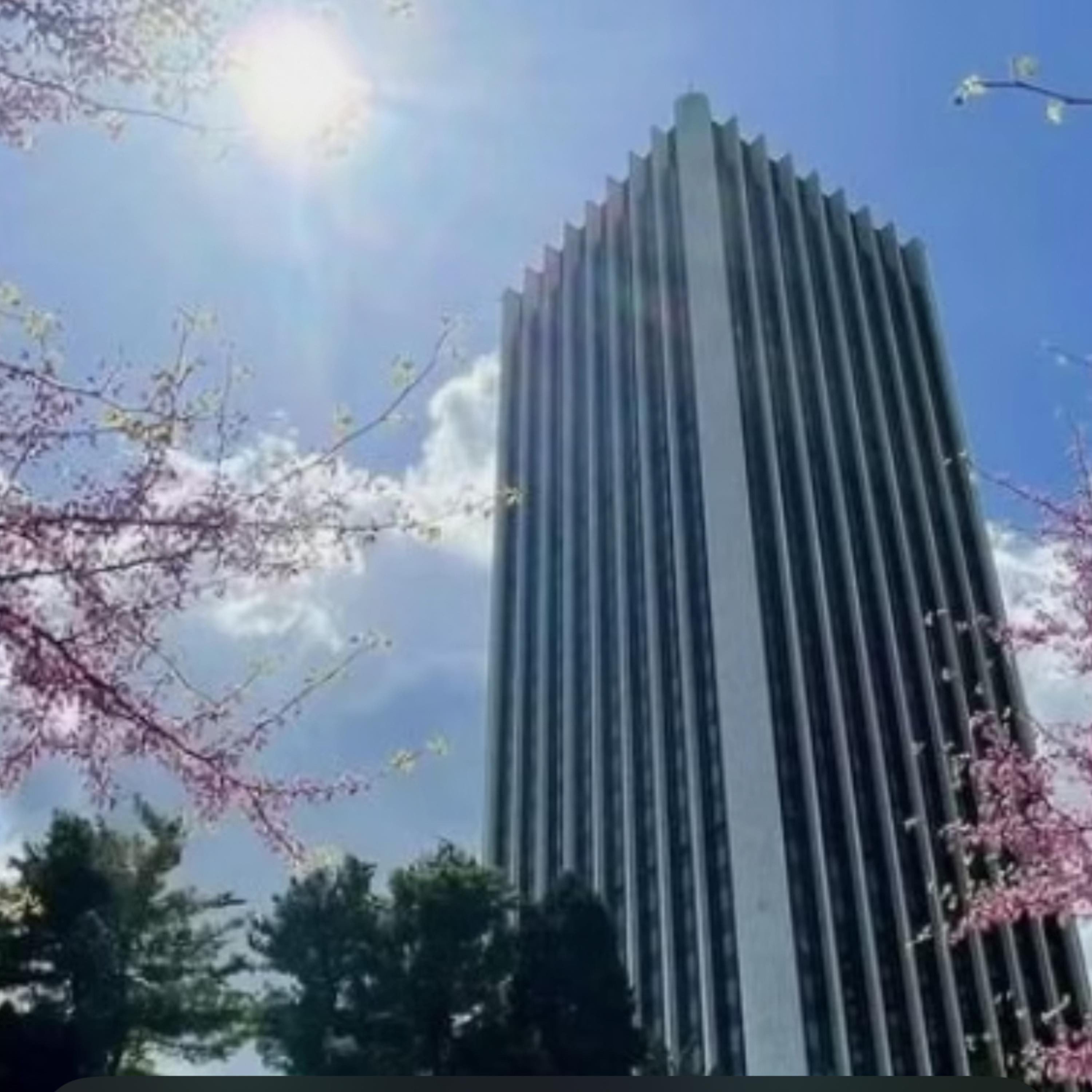 Dream Walkin artwork