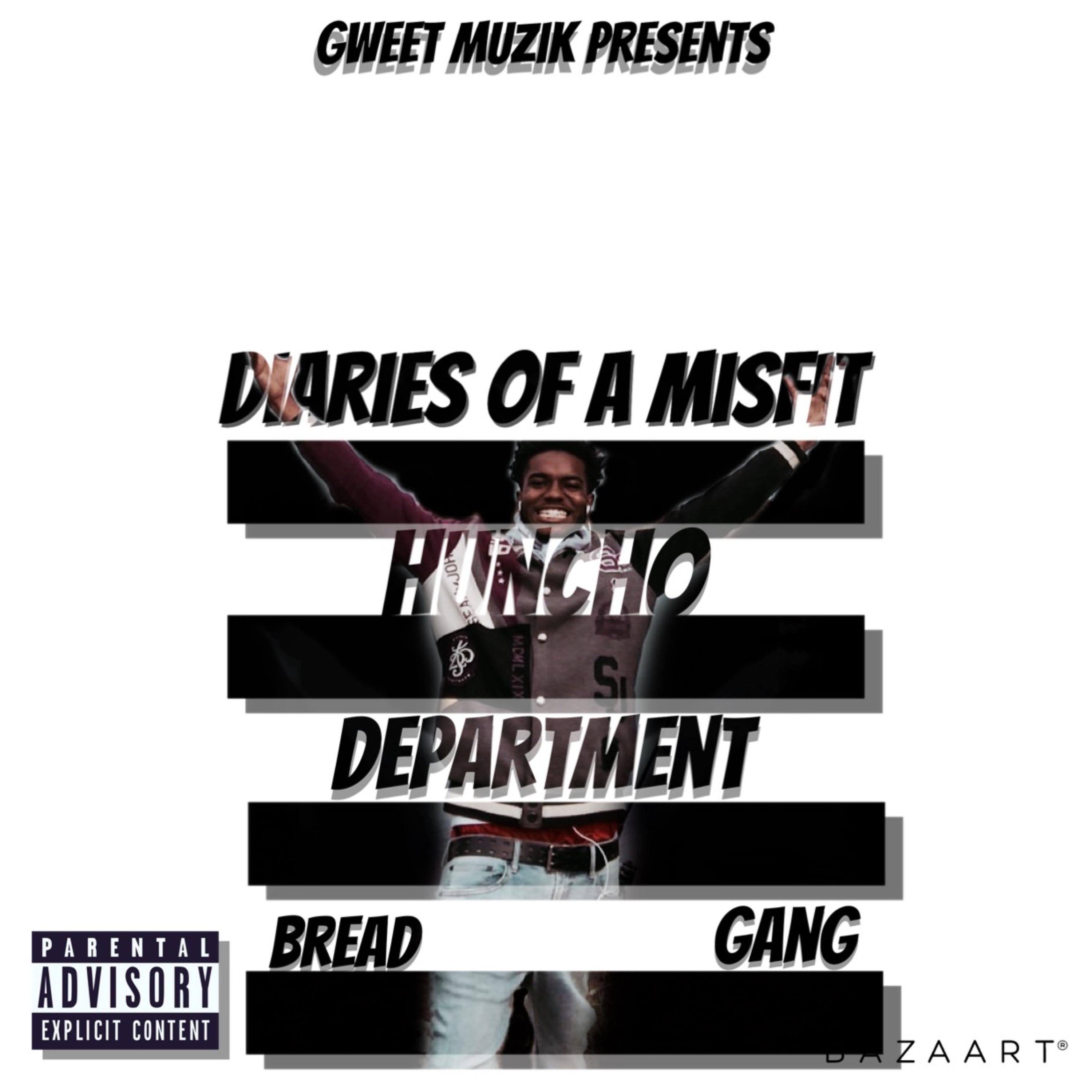 Diaries Of A Misfit artwork