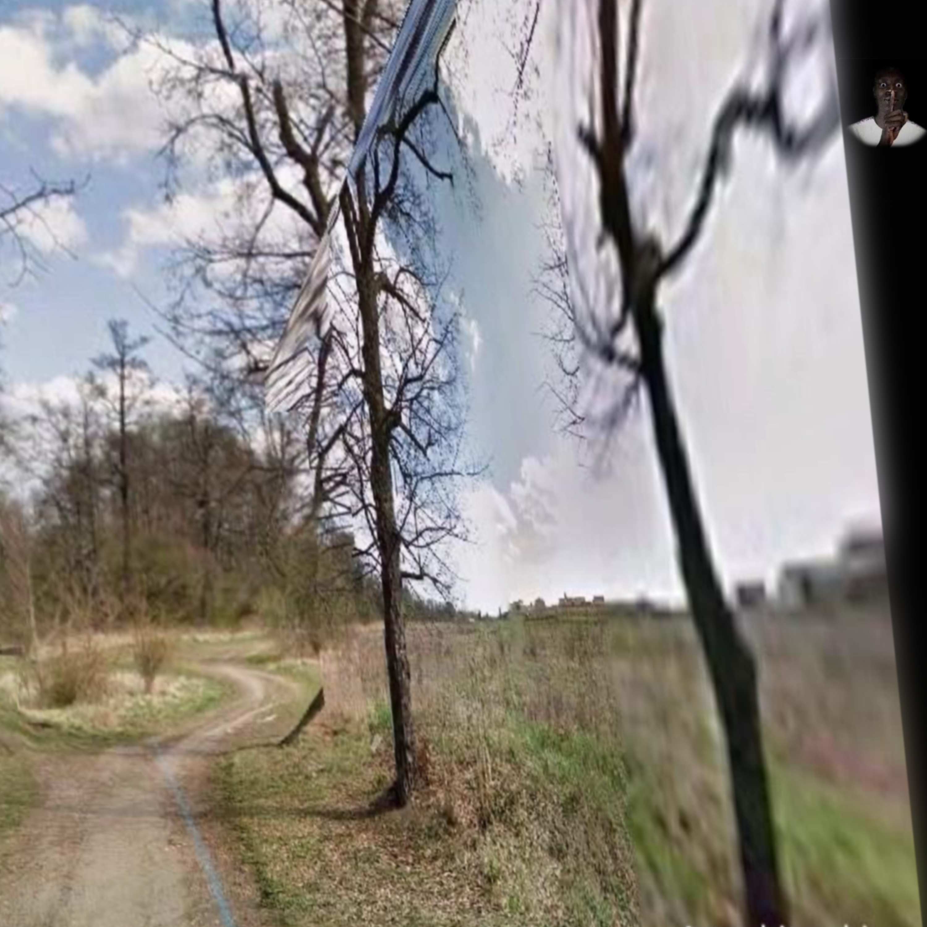 fallen angel. artwork