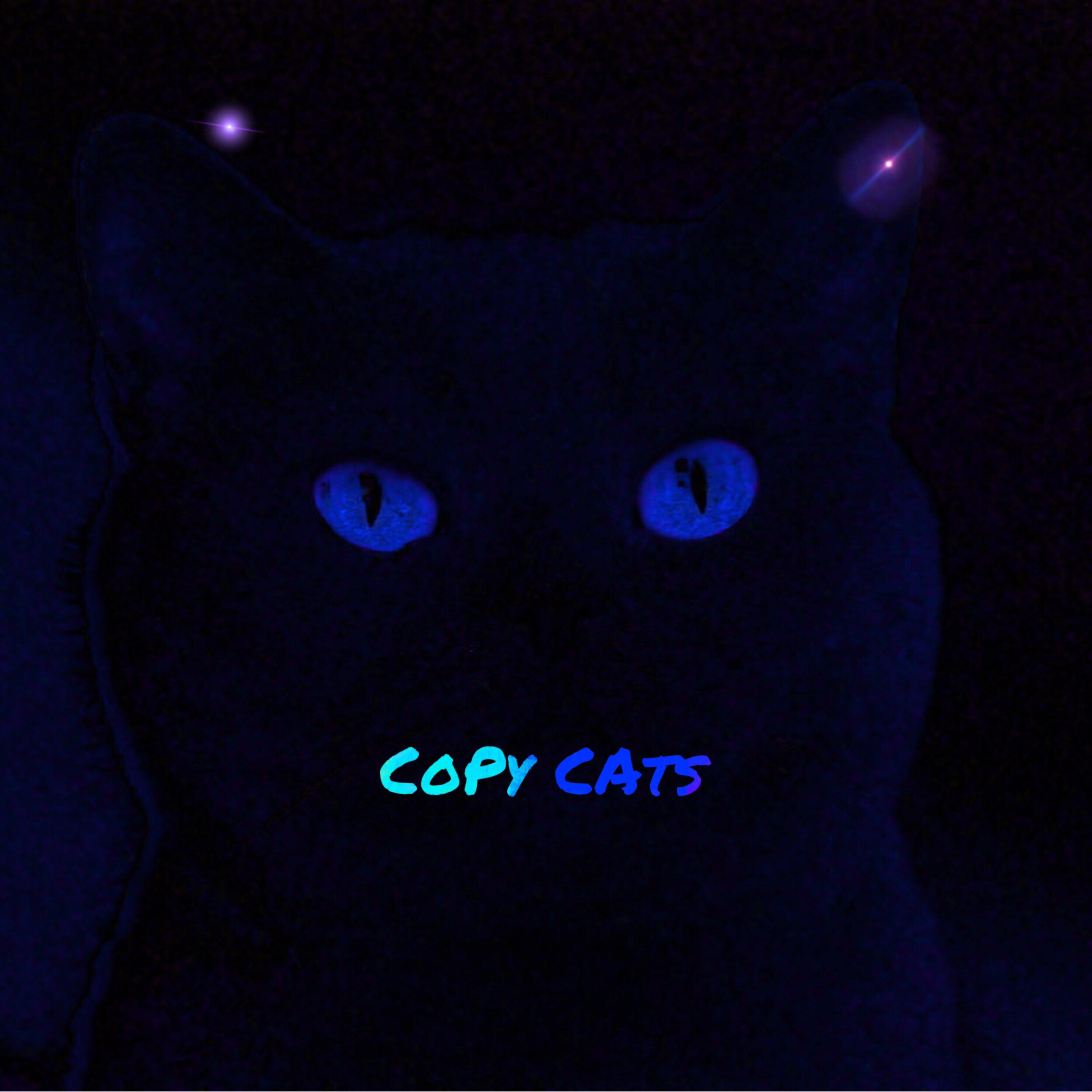CoPyCAtz artwork