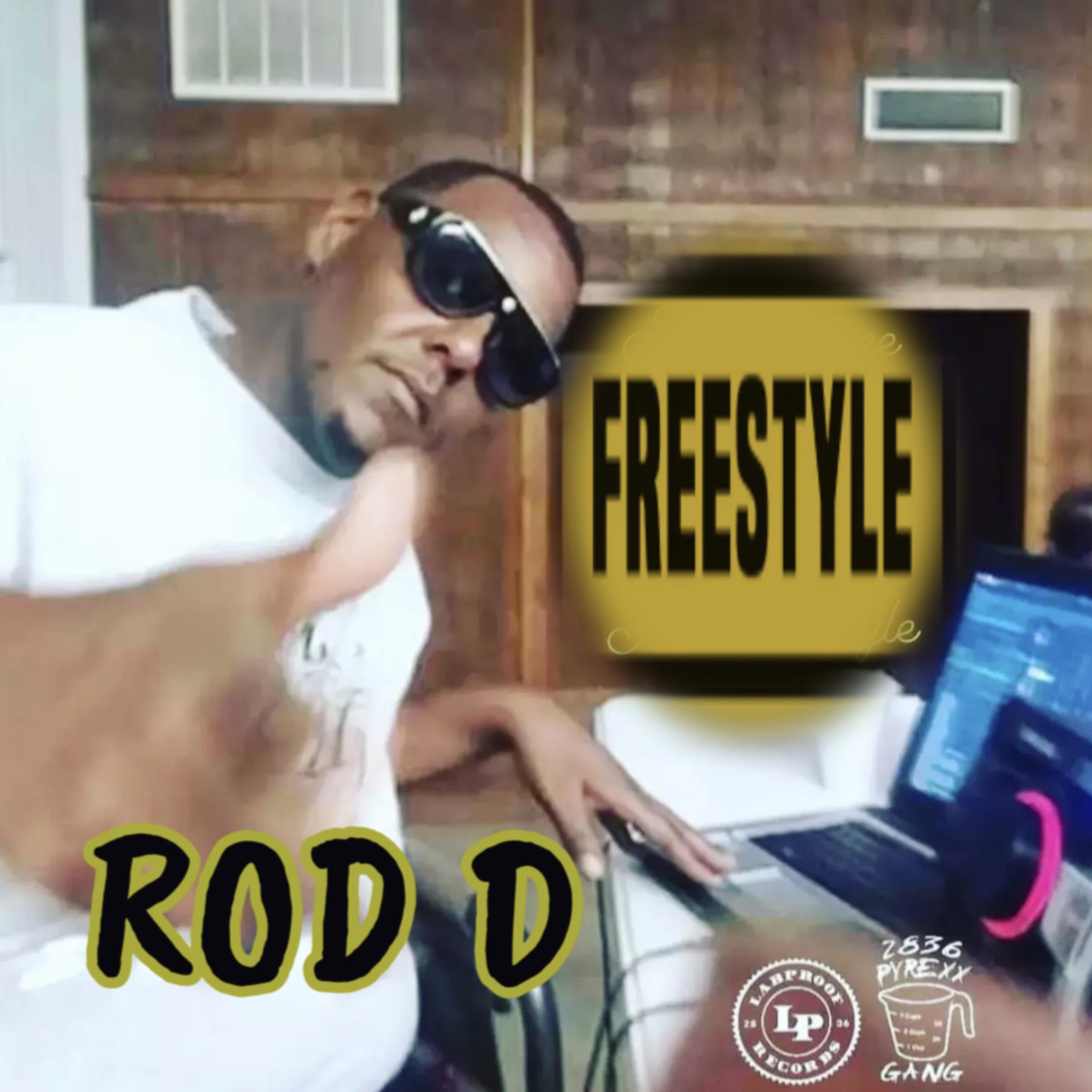 Freestyle Session by Sam Squee cover art