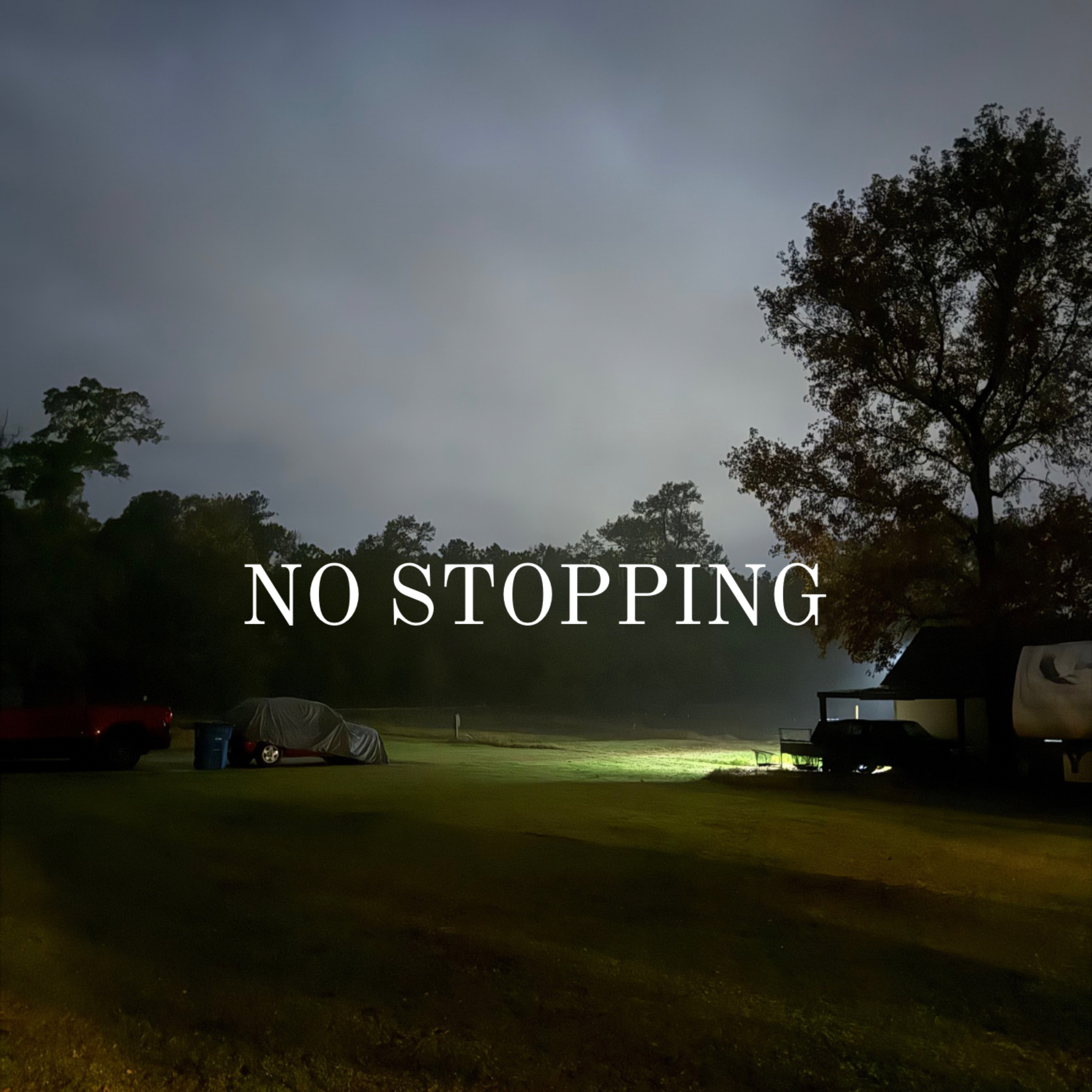 No Stopping artwork
