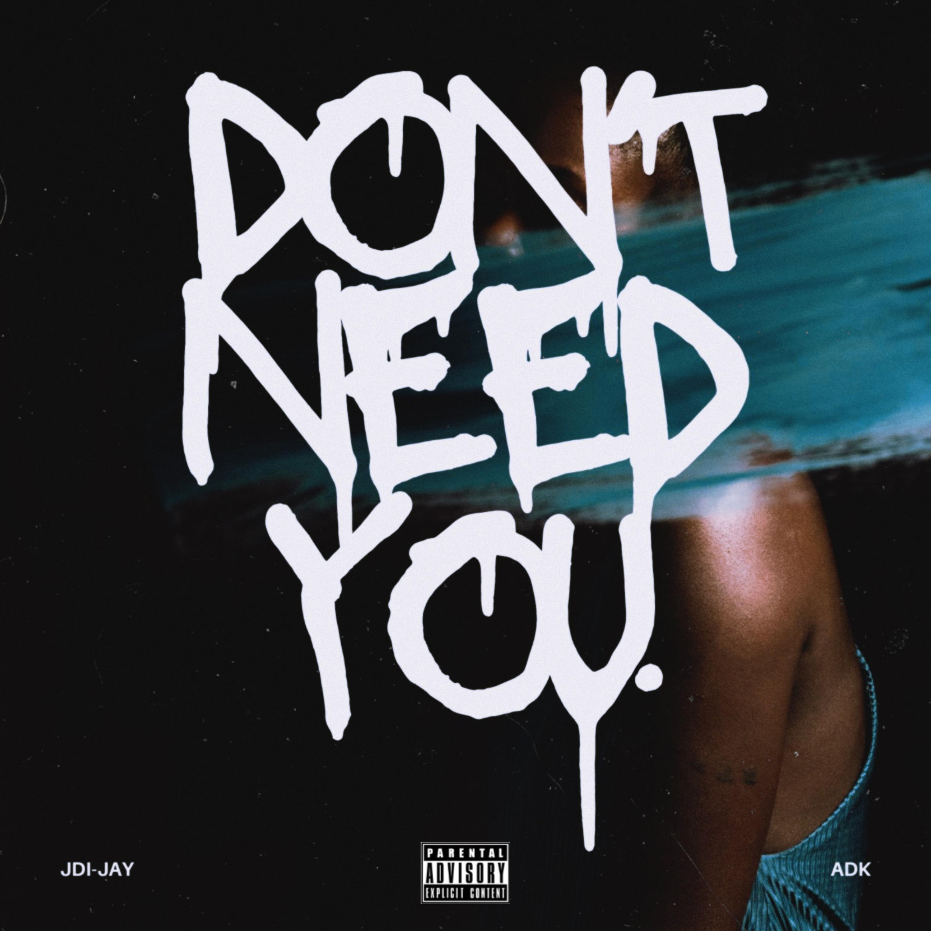Don't Need You by JDI-Jay cover art