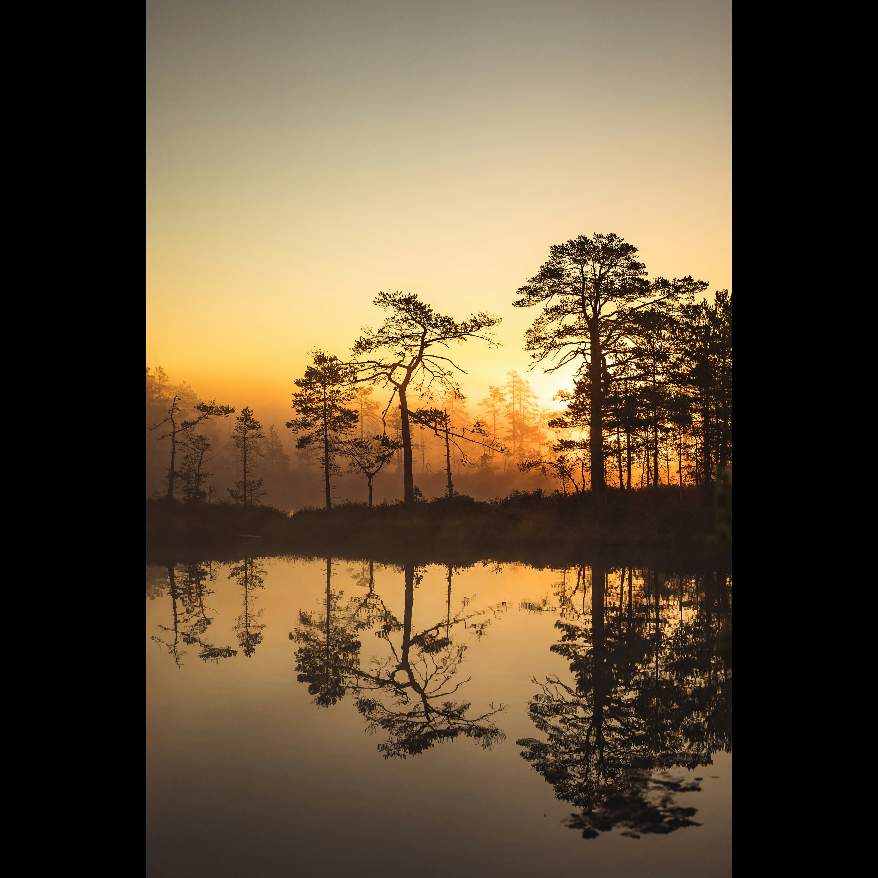 Abang Tukang Bakso artwork