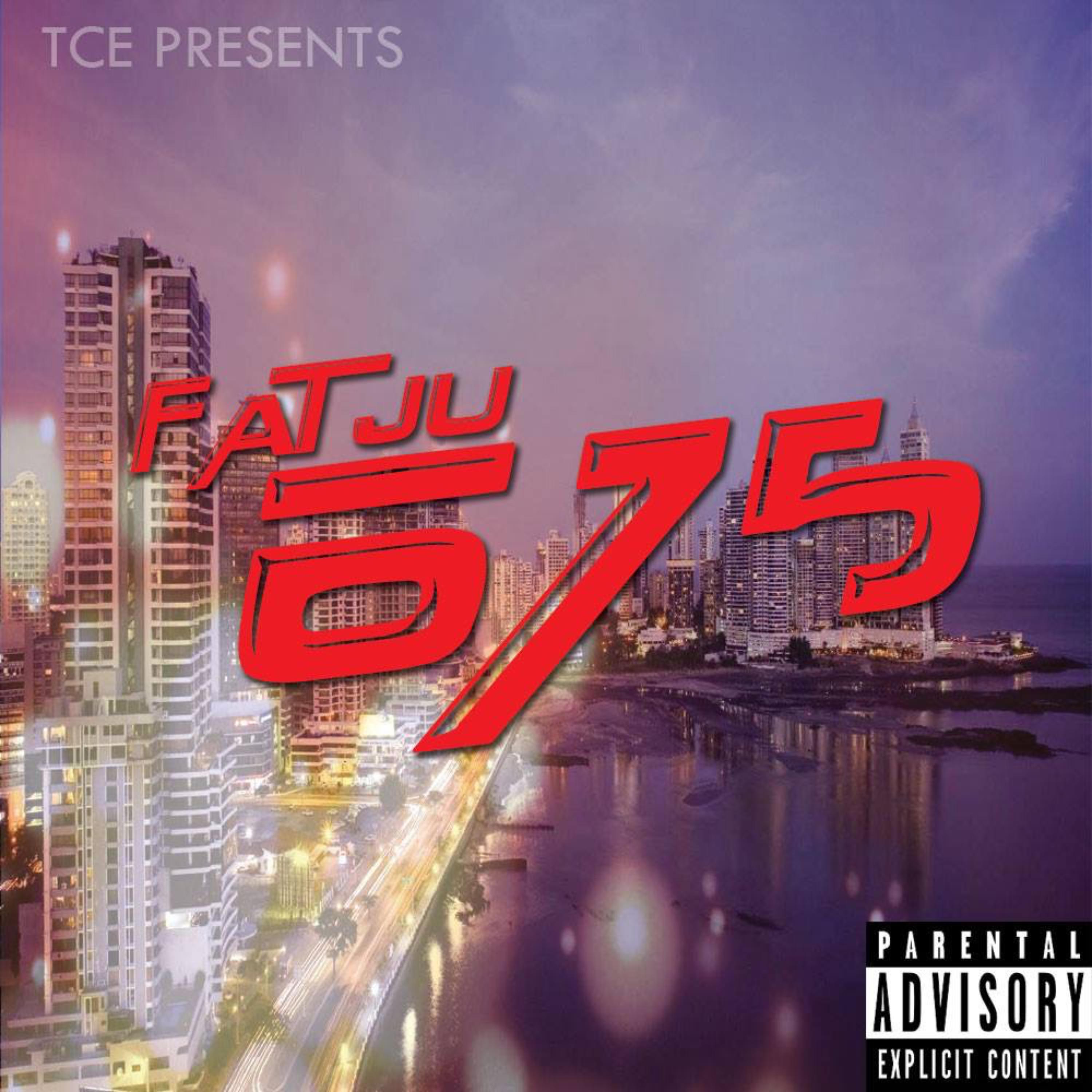 675 artwork