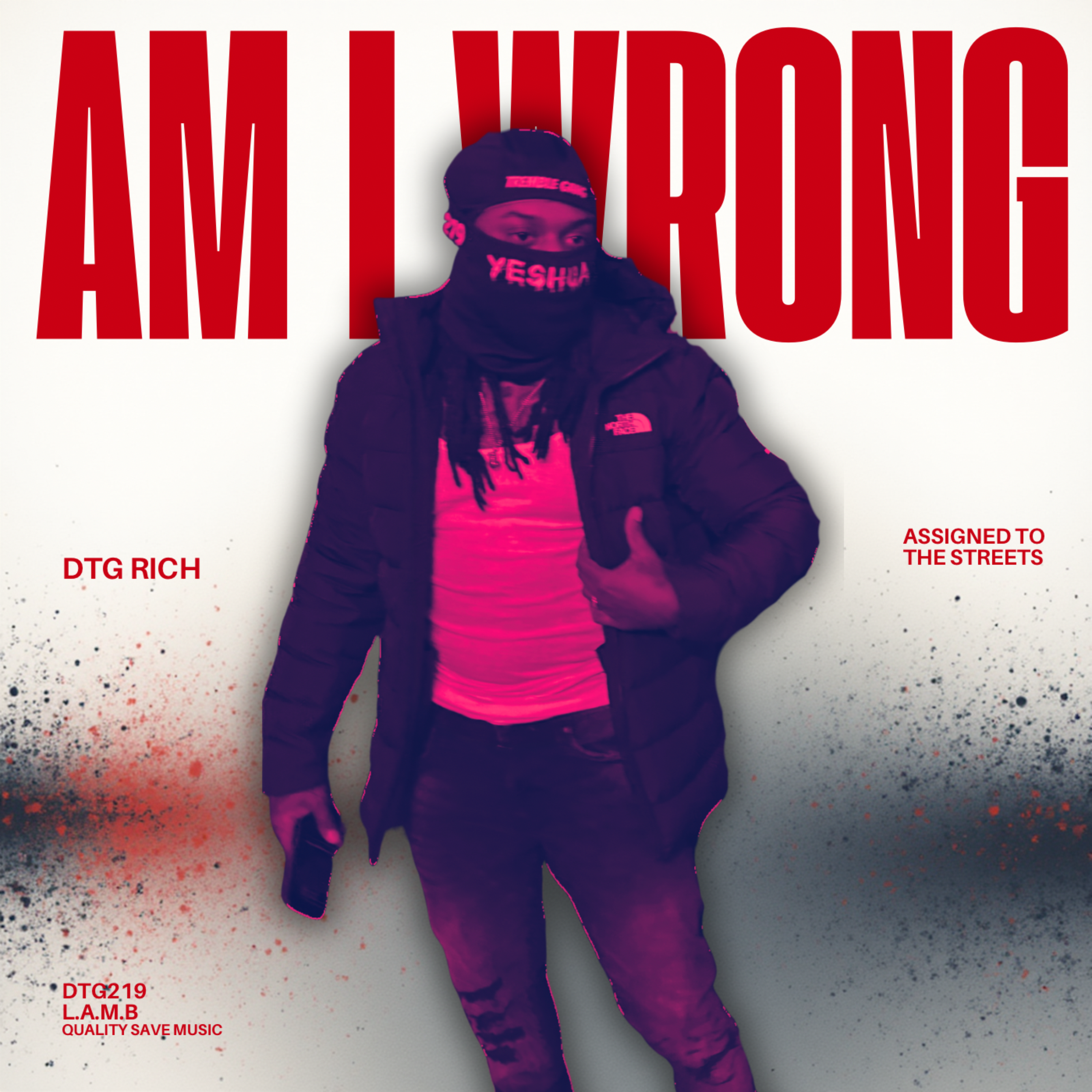 Am I Wrong artwork
