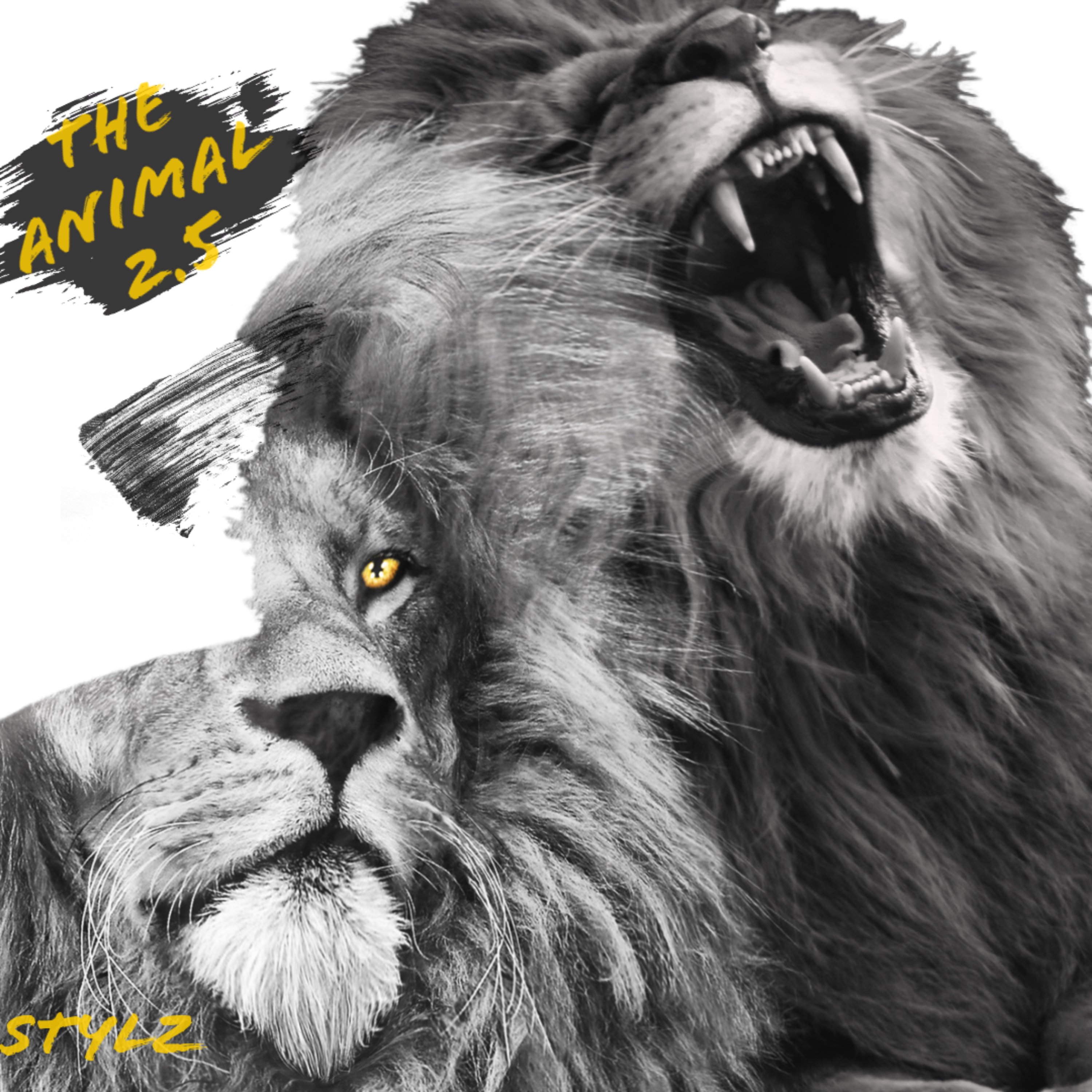 The Animal 2.5 artwork