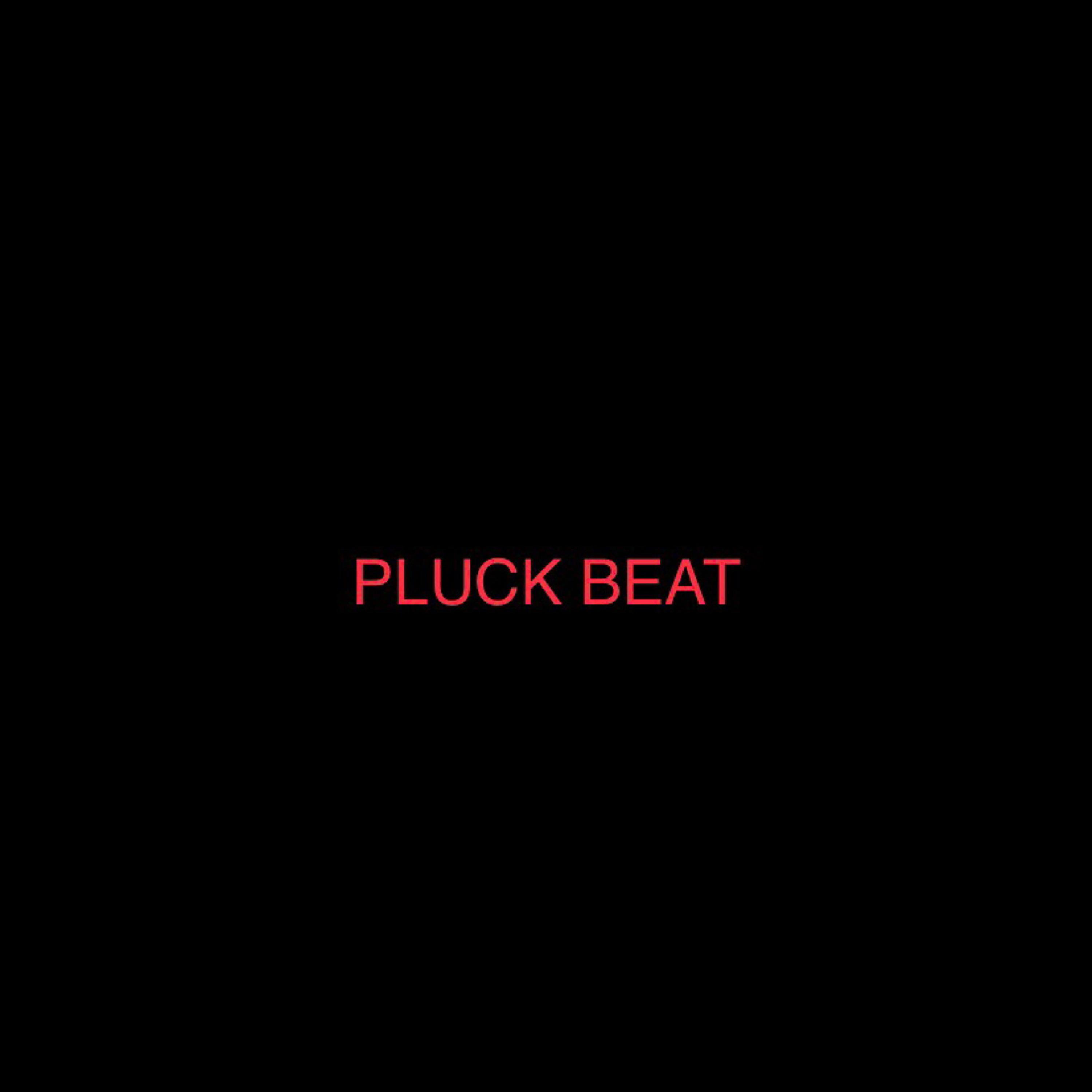 PLUCK BEAT artwork