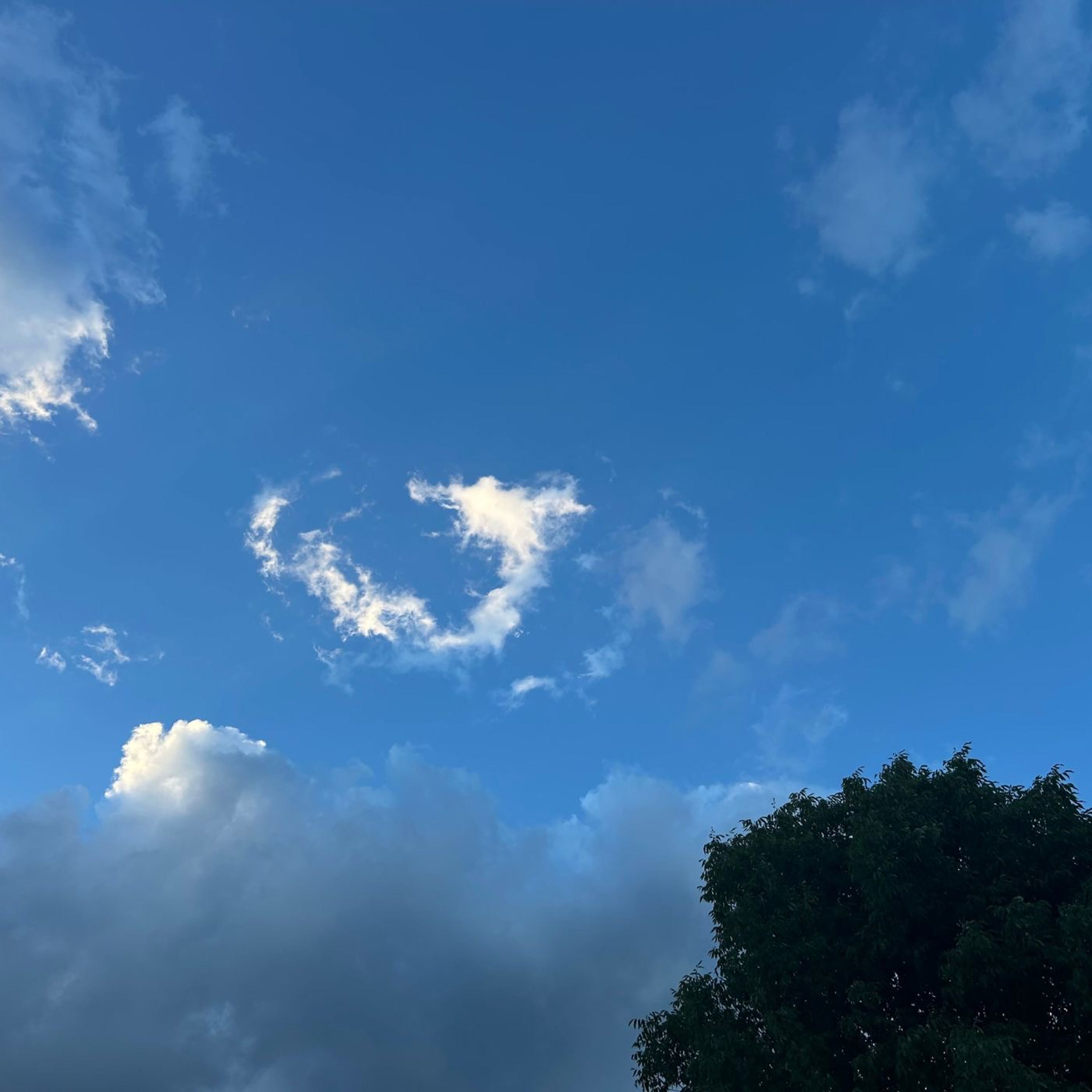 Nature artwork