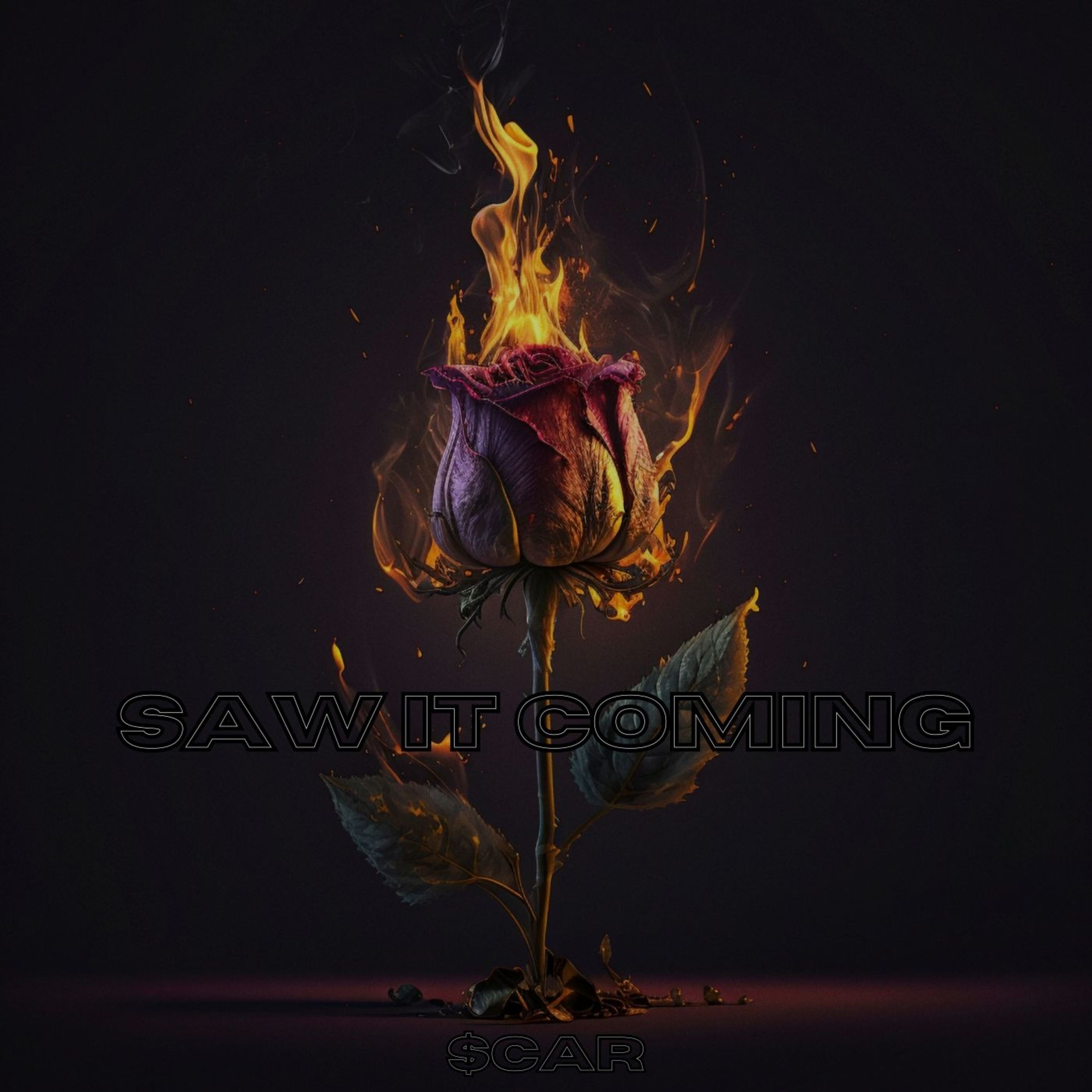 Saw It Coming artwork