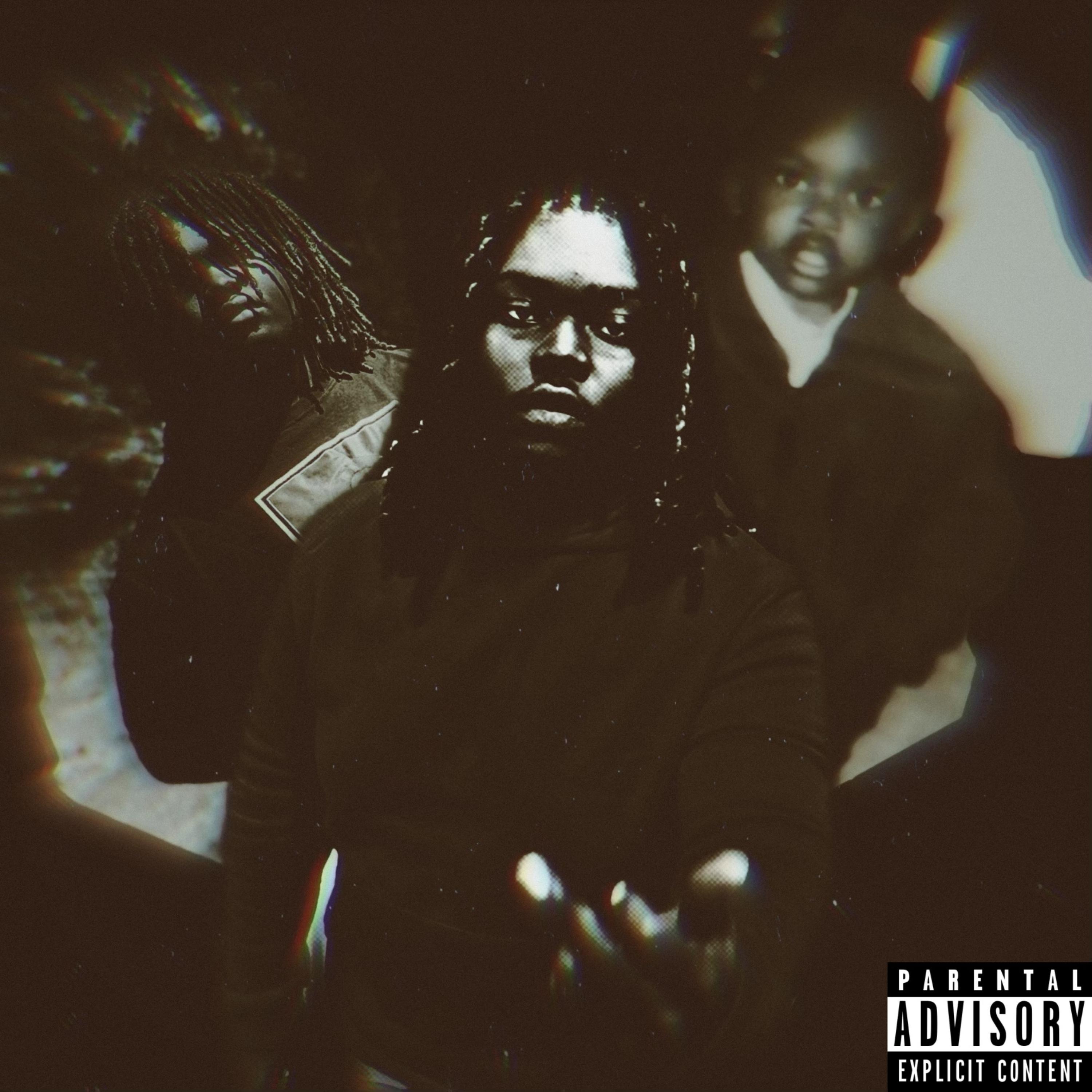 Young N Dumb artwork