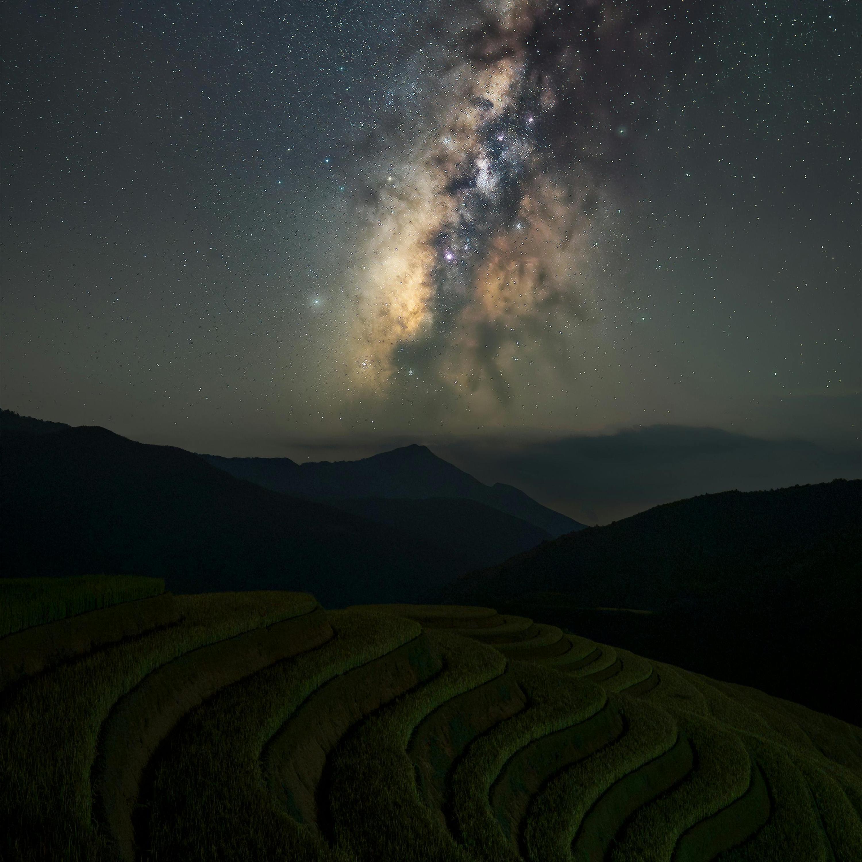 Llego El Viernes artwork