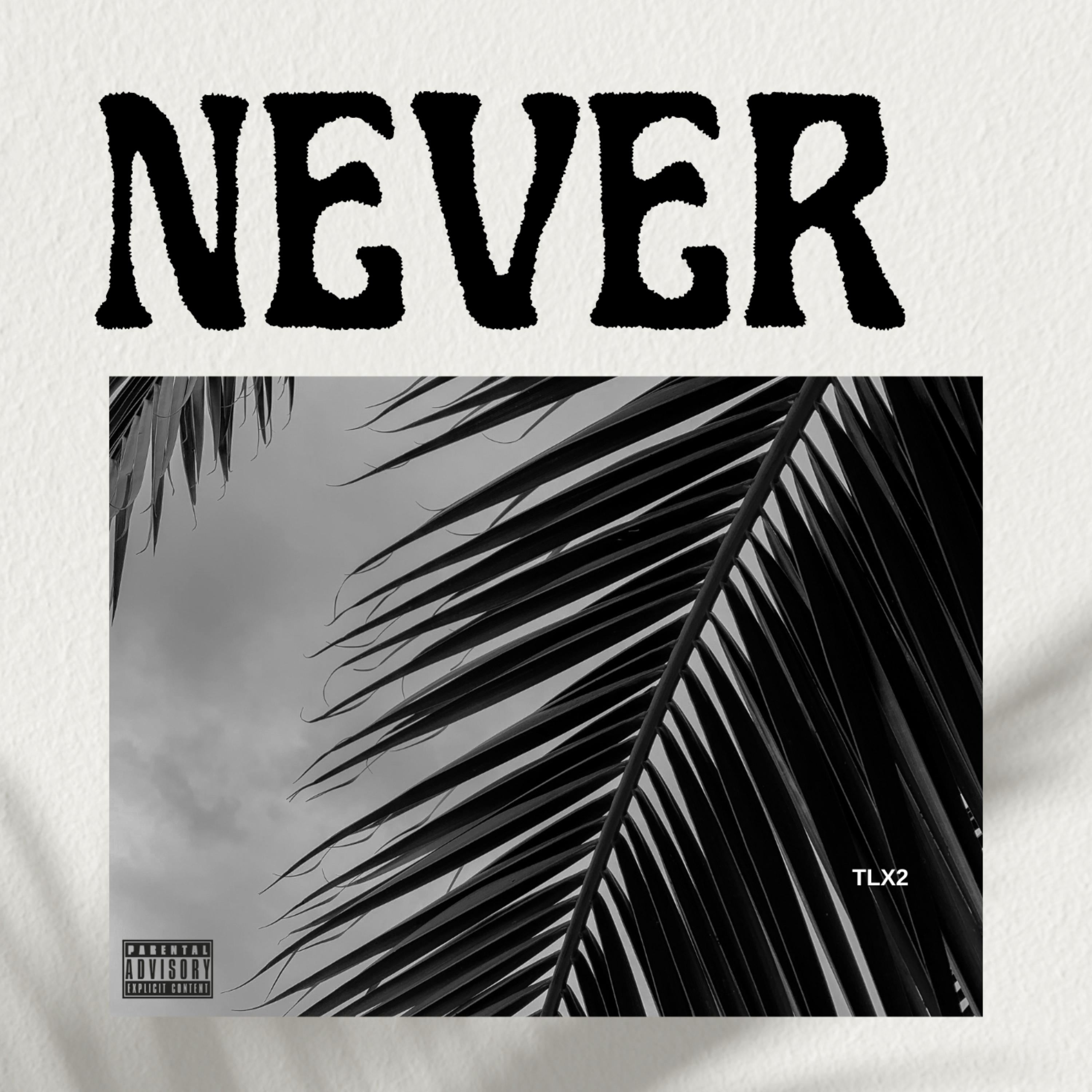 Never artwork