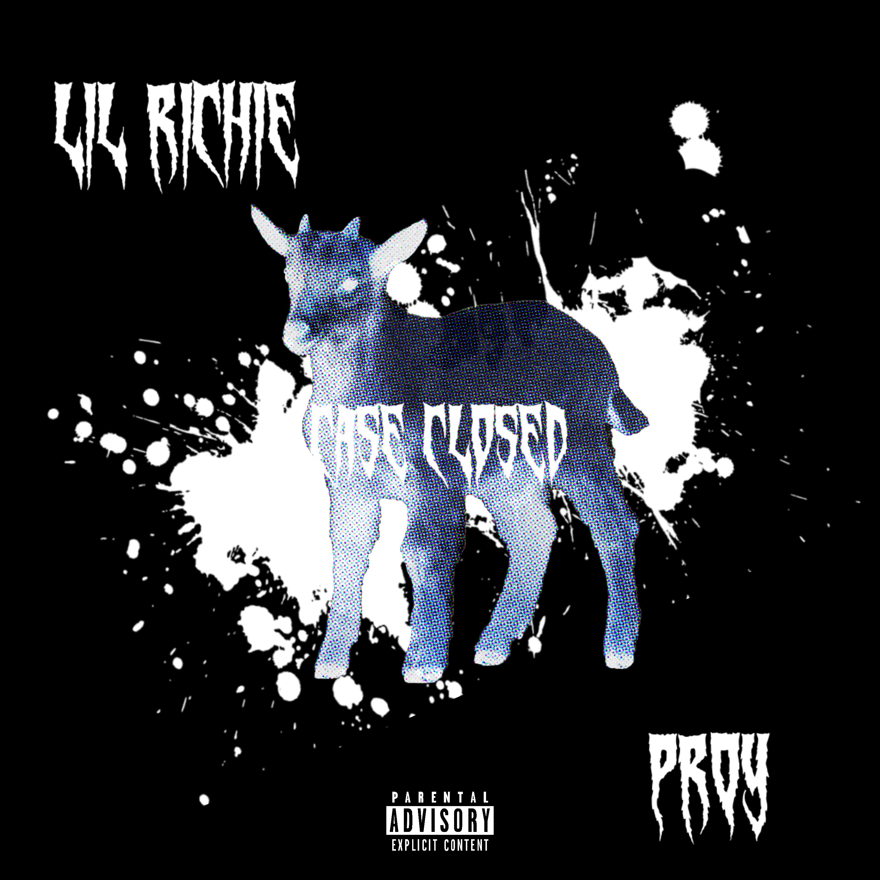 Case Closed artwork