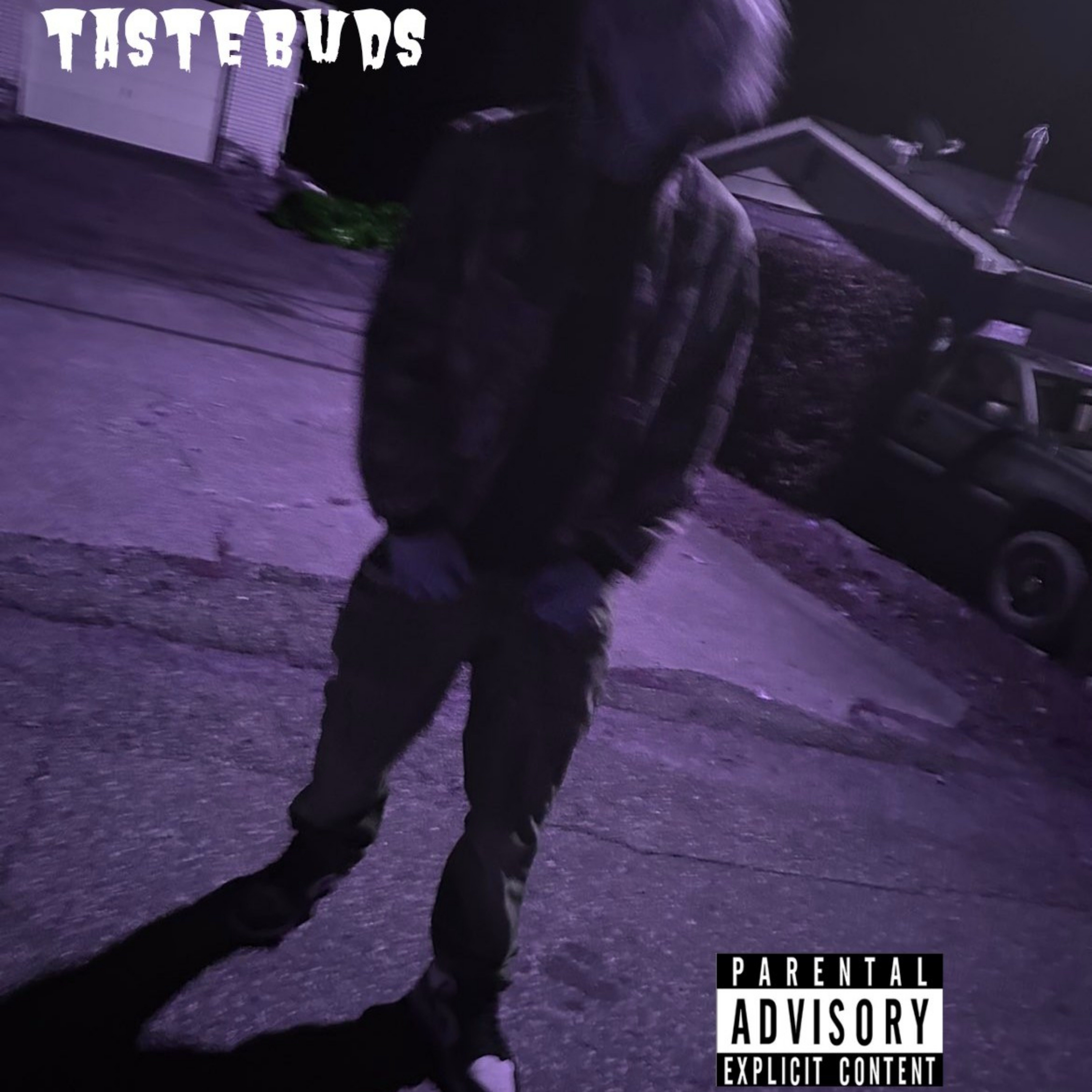 TASTEBUDS artwork