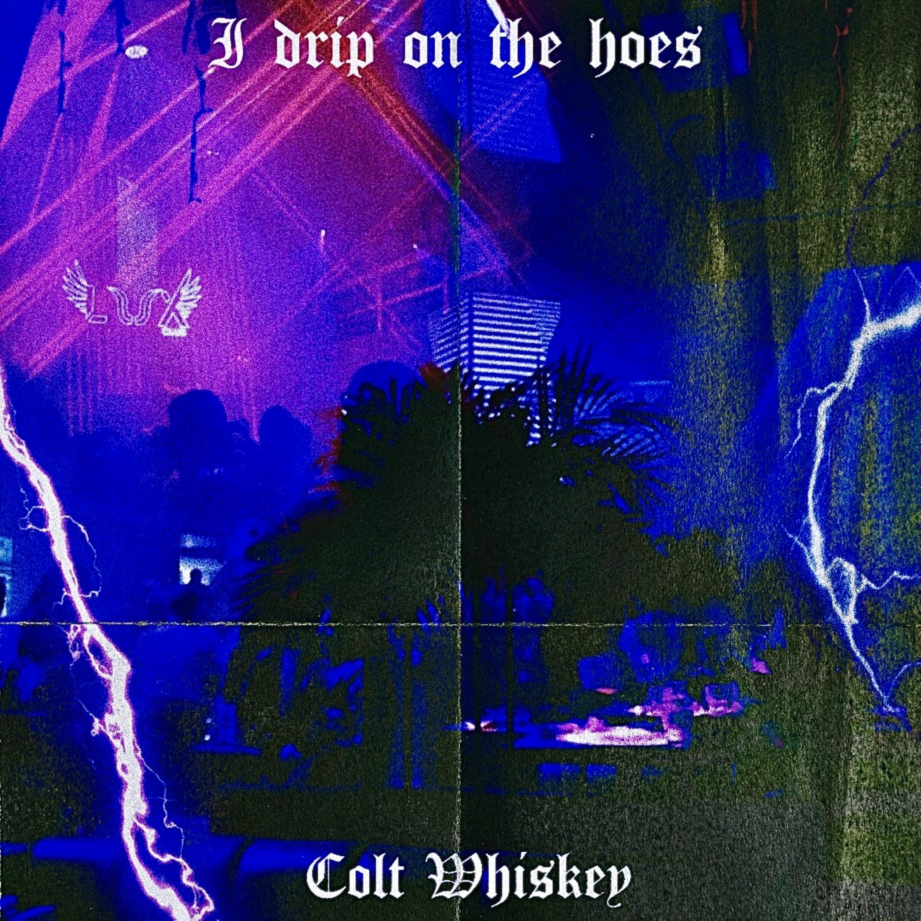 I Drip On The Hoes artwork